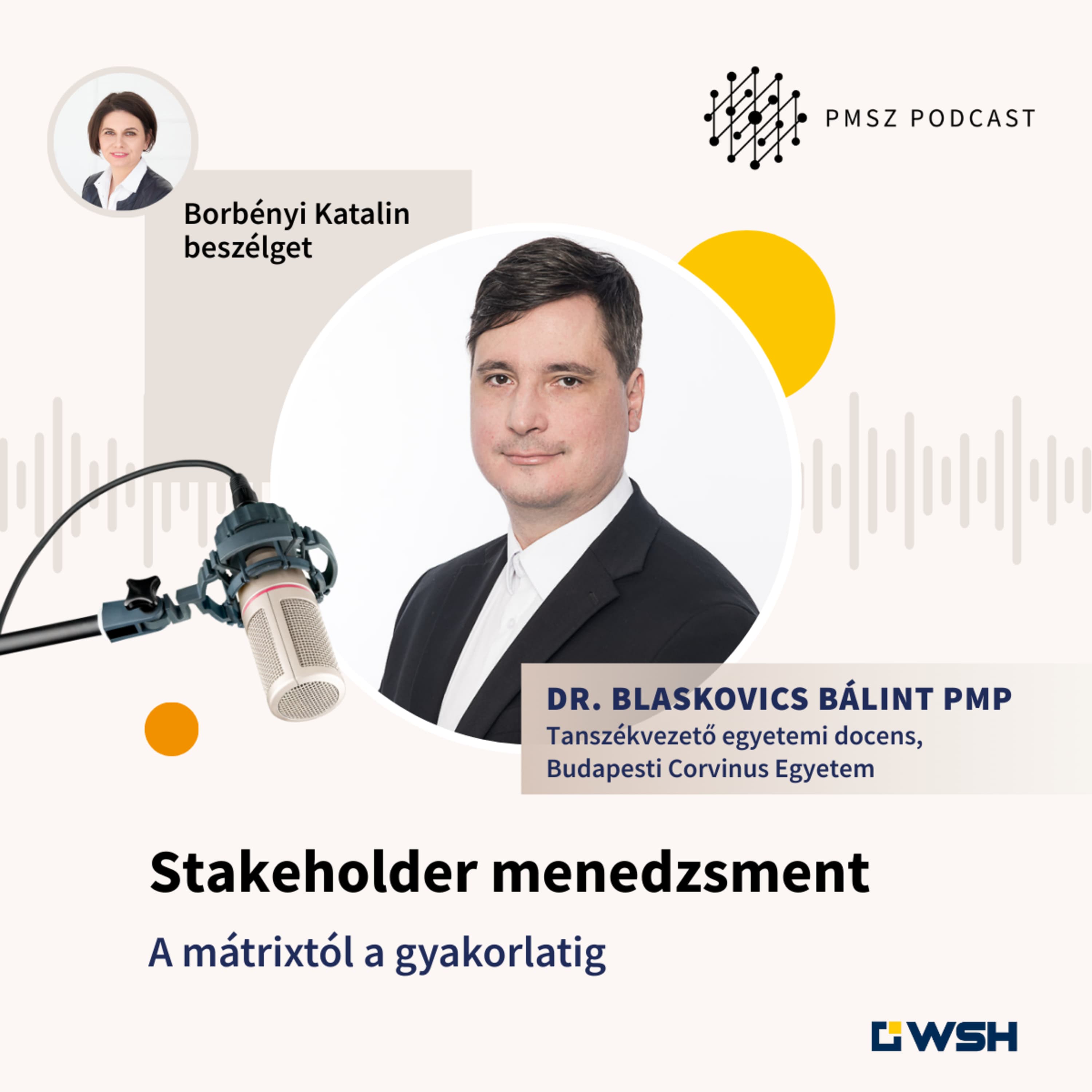 Stakeholder menedzsment - A mátrixtól a gyakorlatig