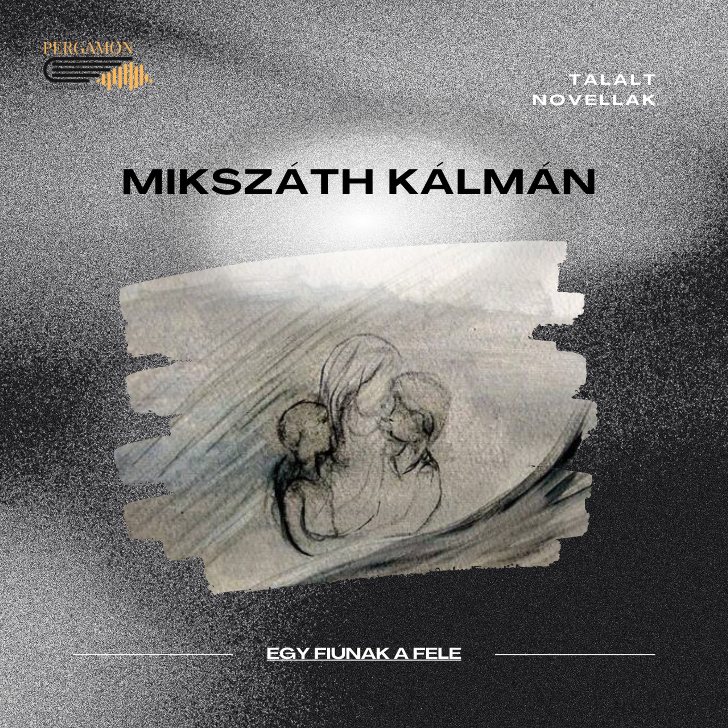 Talált novellák - Mikszáth Kálmán: Egy fiúnak a fele