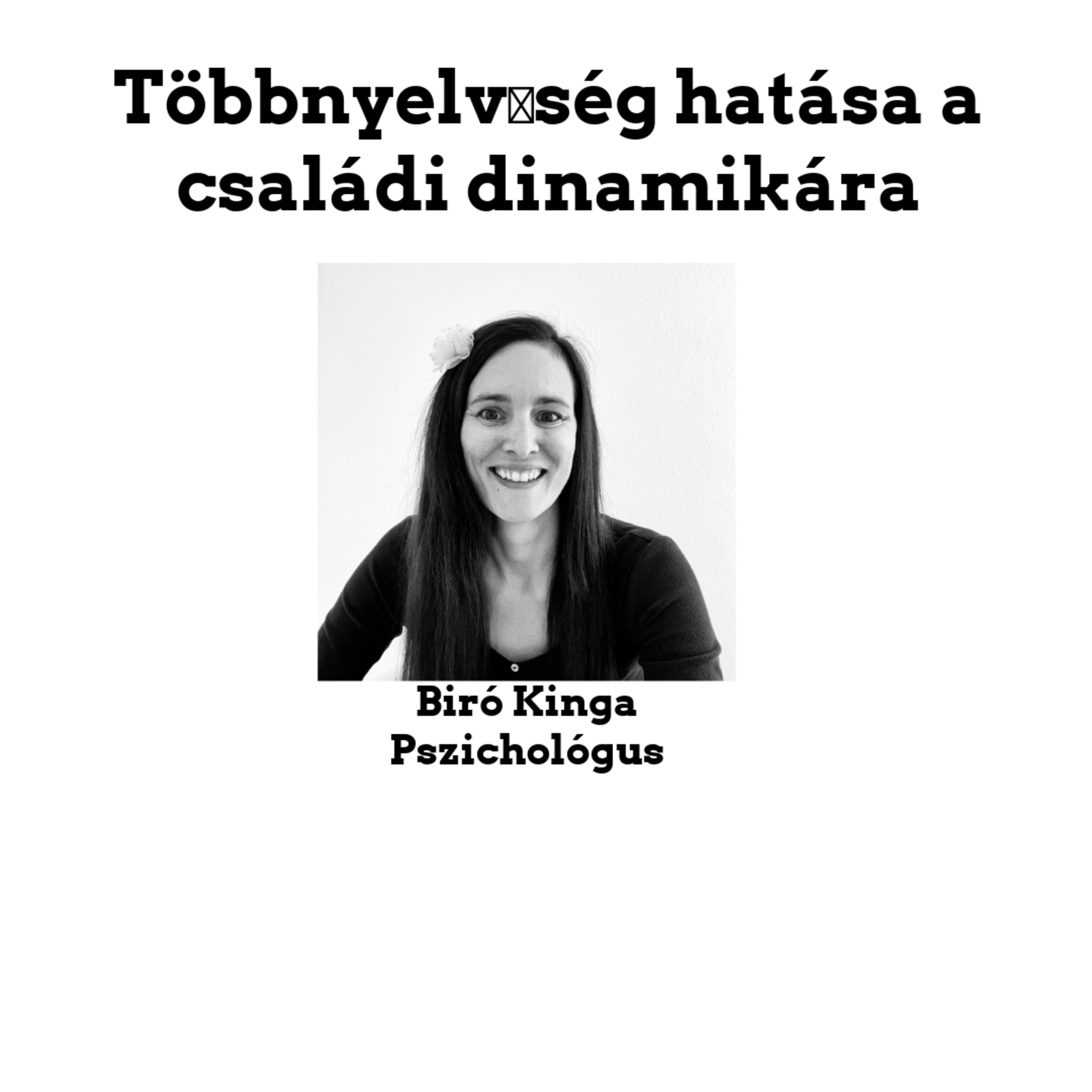 Többnyelvűség hatása a családi dinamikára