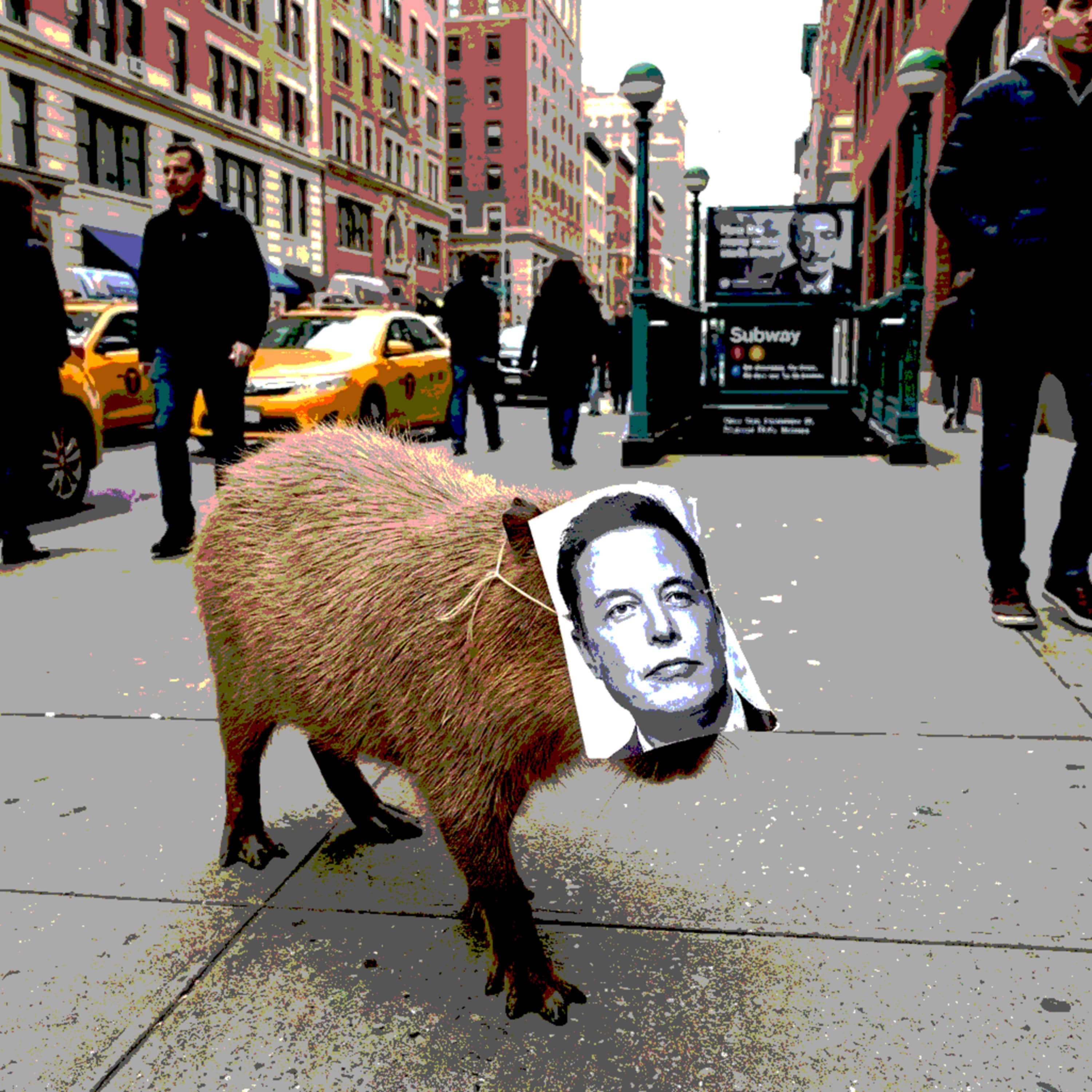 #273 - Kapibaraként Elon maszkot viselni