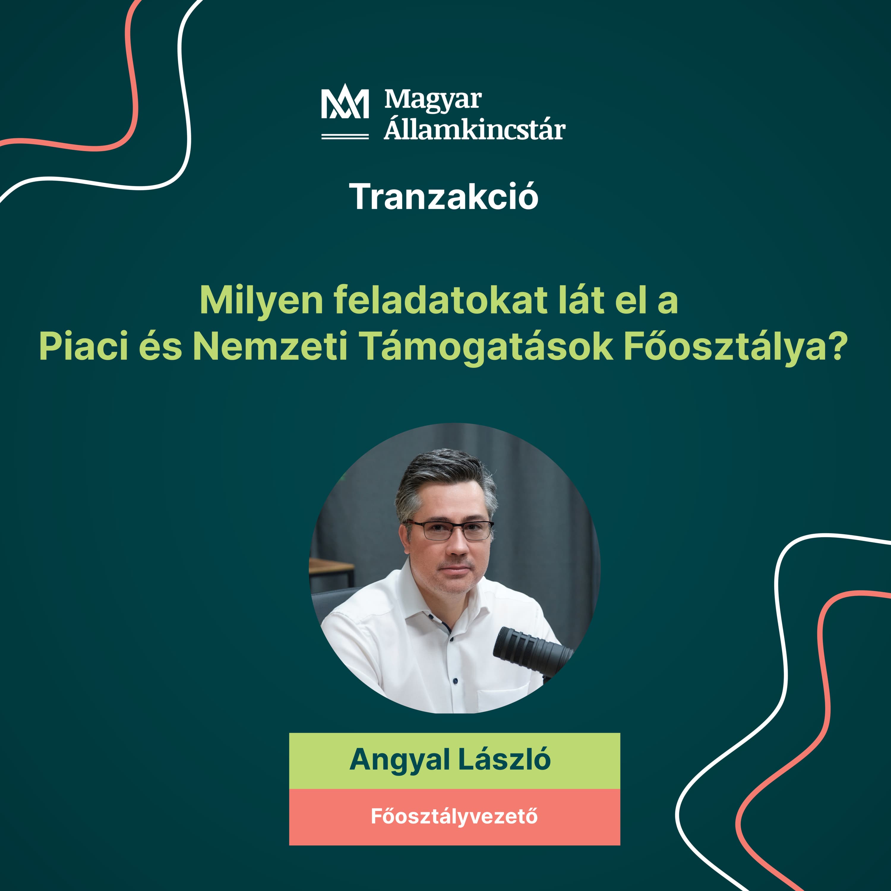 17. rész: Milyen feladatokat lát el a Piaci és Nemzeti Támogatások Főosztálya?