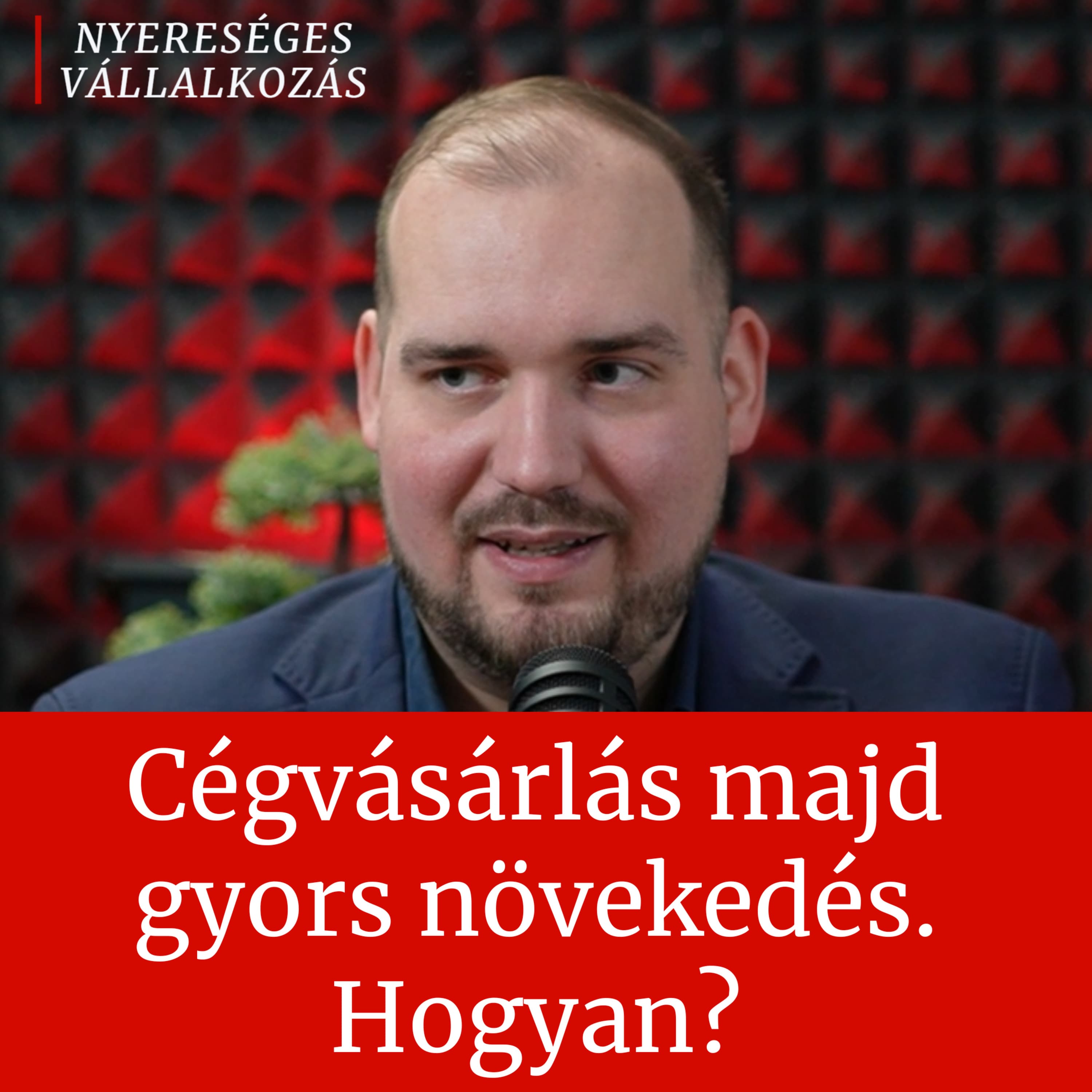 34. Cégvásárlás majd gyors növekedés. Hogyan? │ Pócs Bálint, Follow Marketing