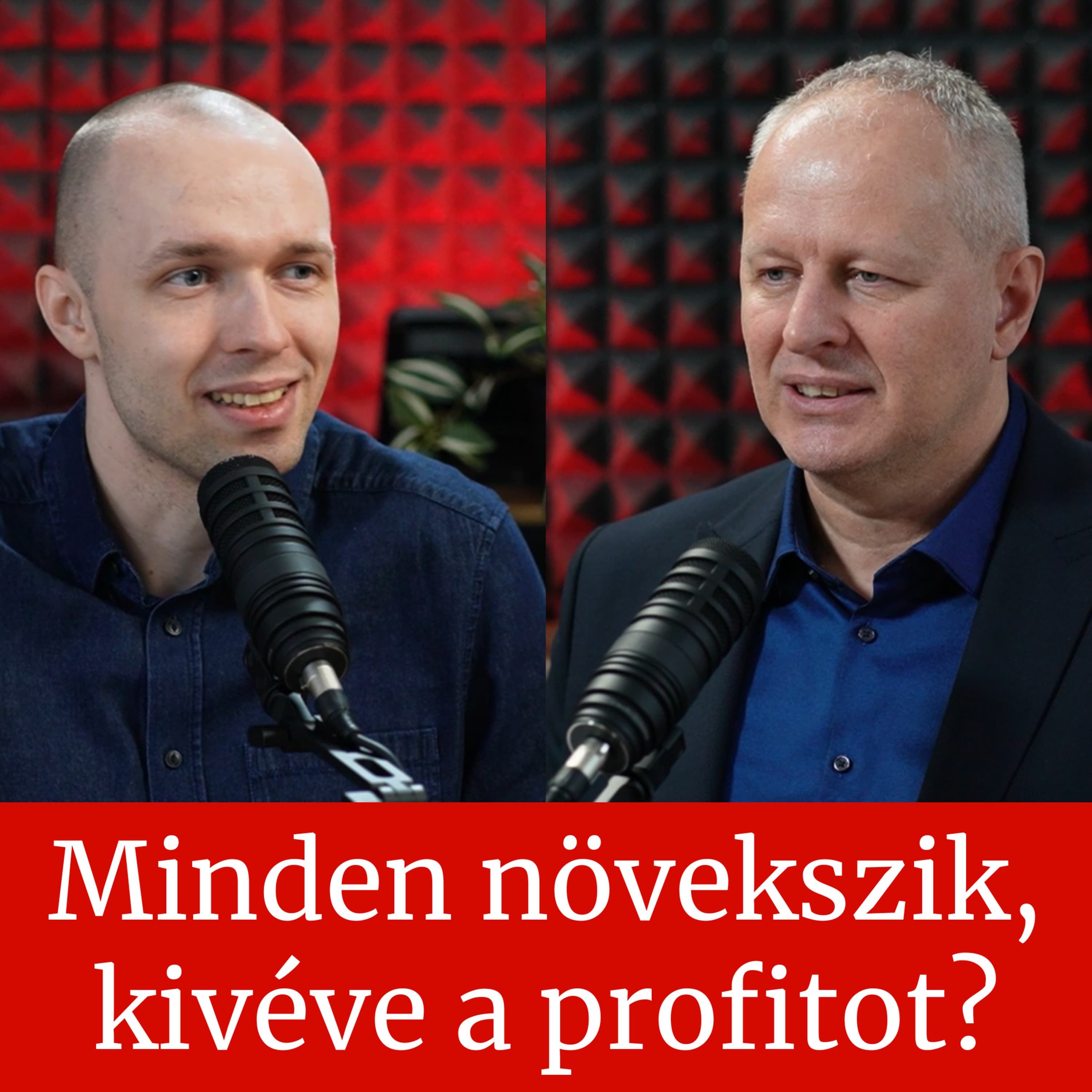 Minden növekszik a cégedben, kivéve a nyereséget?