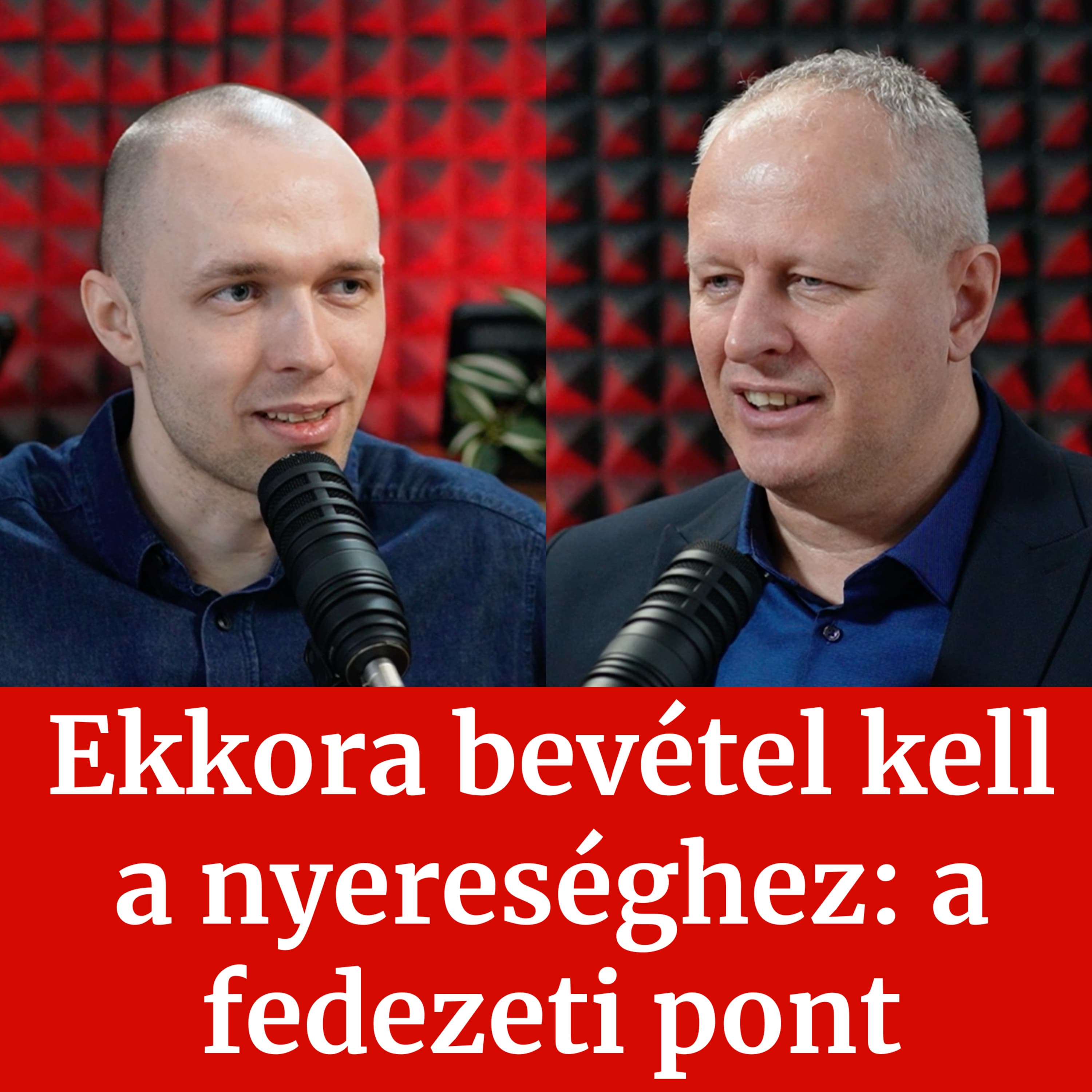 Ekkora bevétel kell a nyereséghez: a fedezeti pont