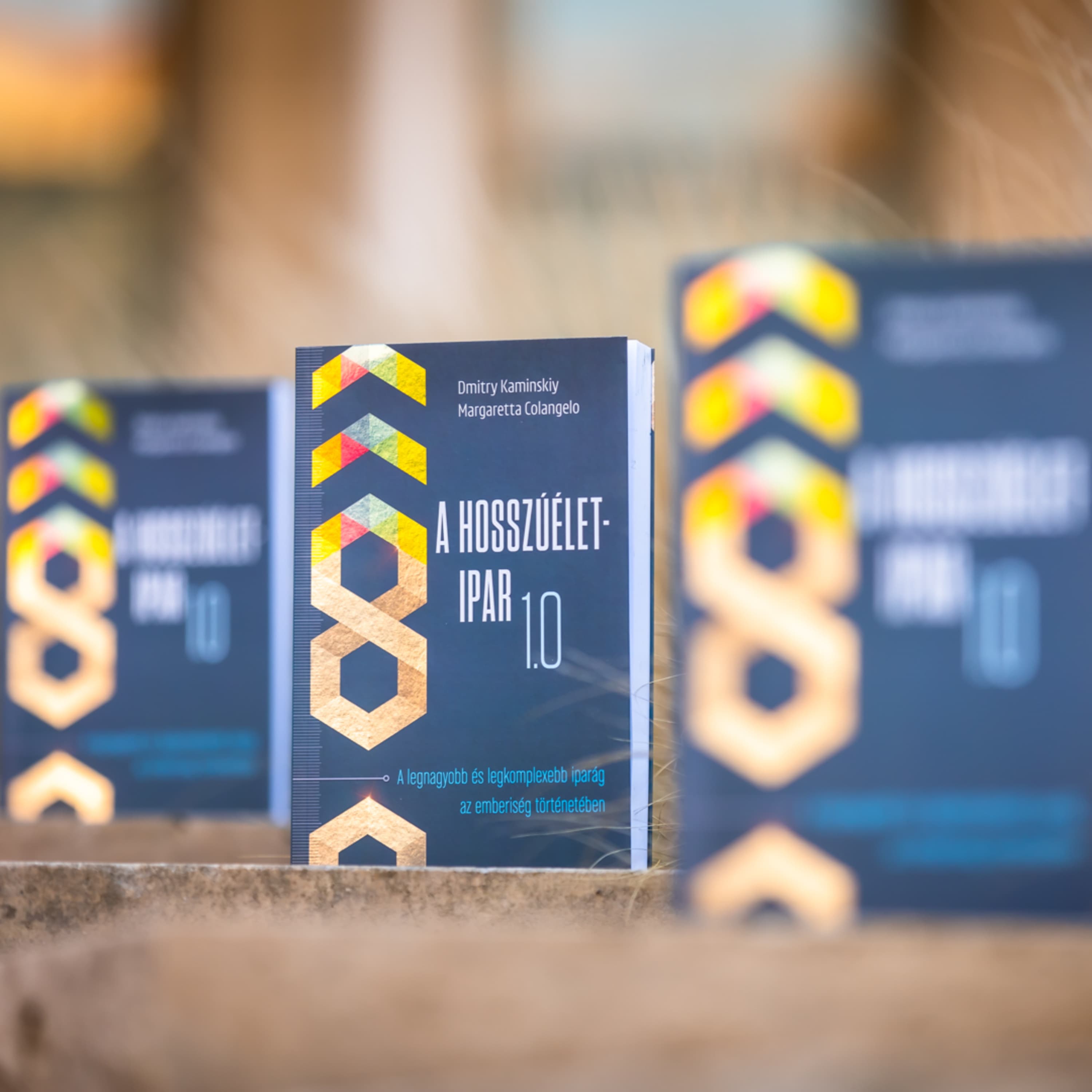 Dmitry Kaminskiy, Margaretta Colangelo: A HOSSZÚÉLET-IPAR 1.0