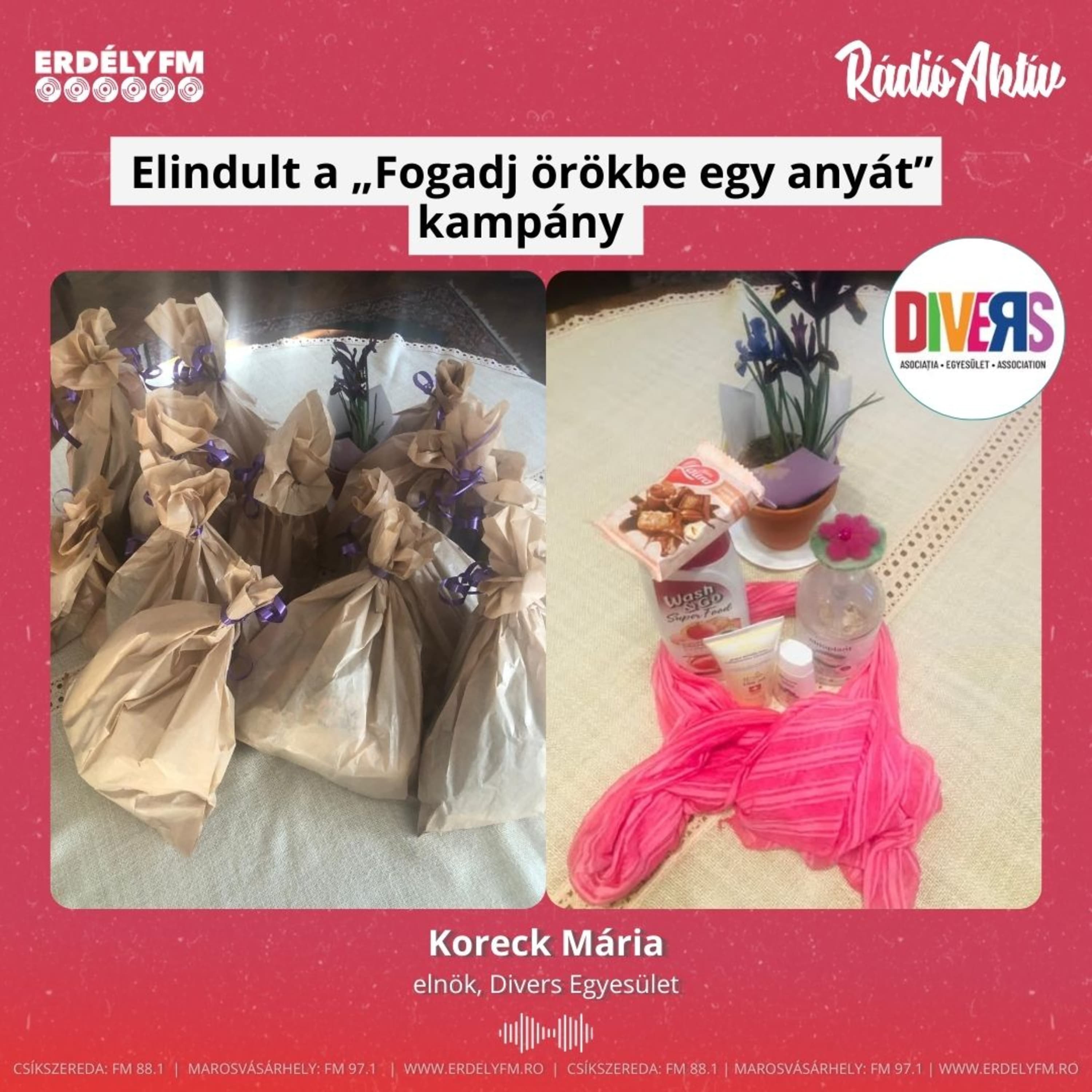 Elindult a „Fogadj örökbe egy anyát” kampány