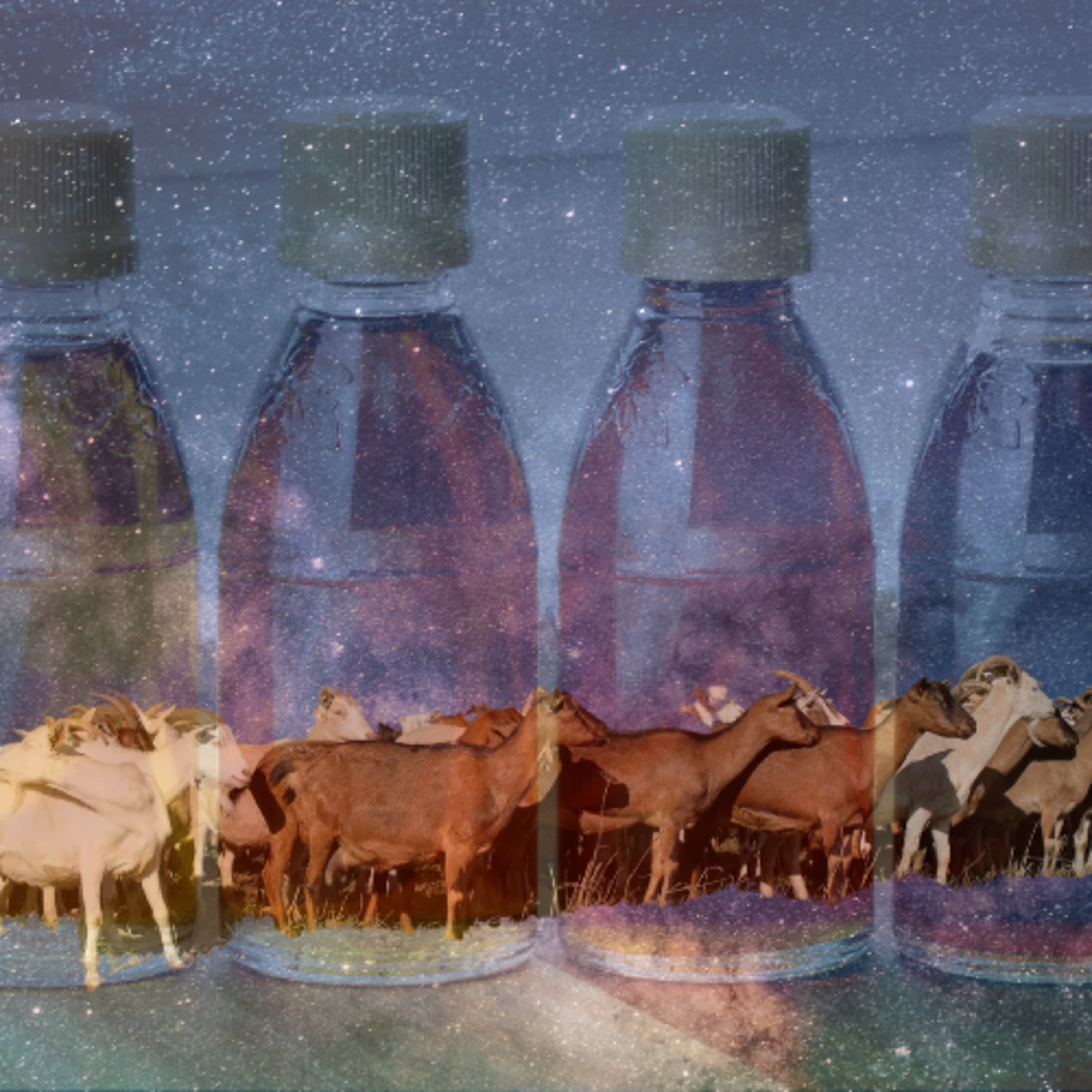 Bakancslista-Magyarország: Szörp, kecske, csillagok – nyitnak a porták!