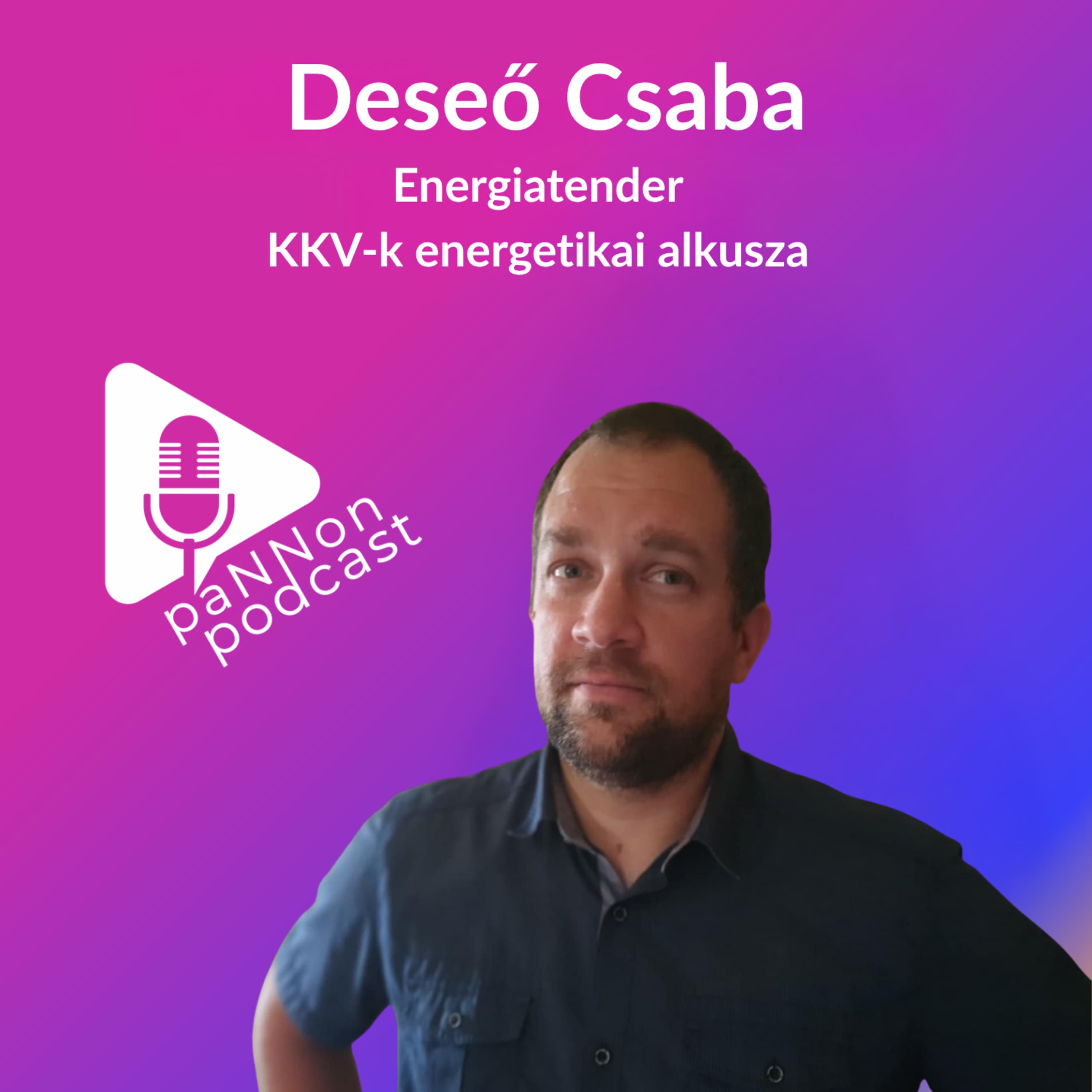 Deseő Csaba – Energiatender Kft.
