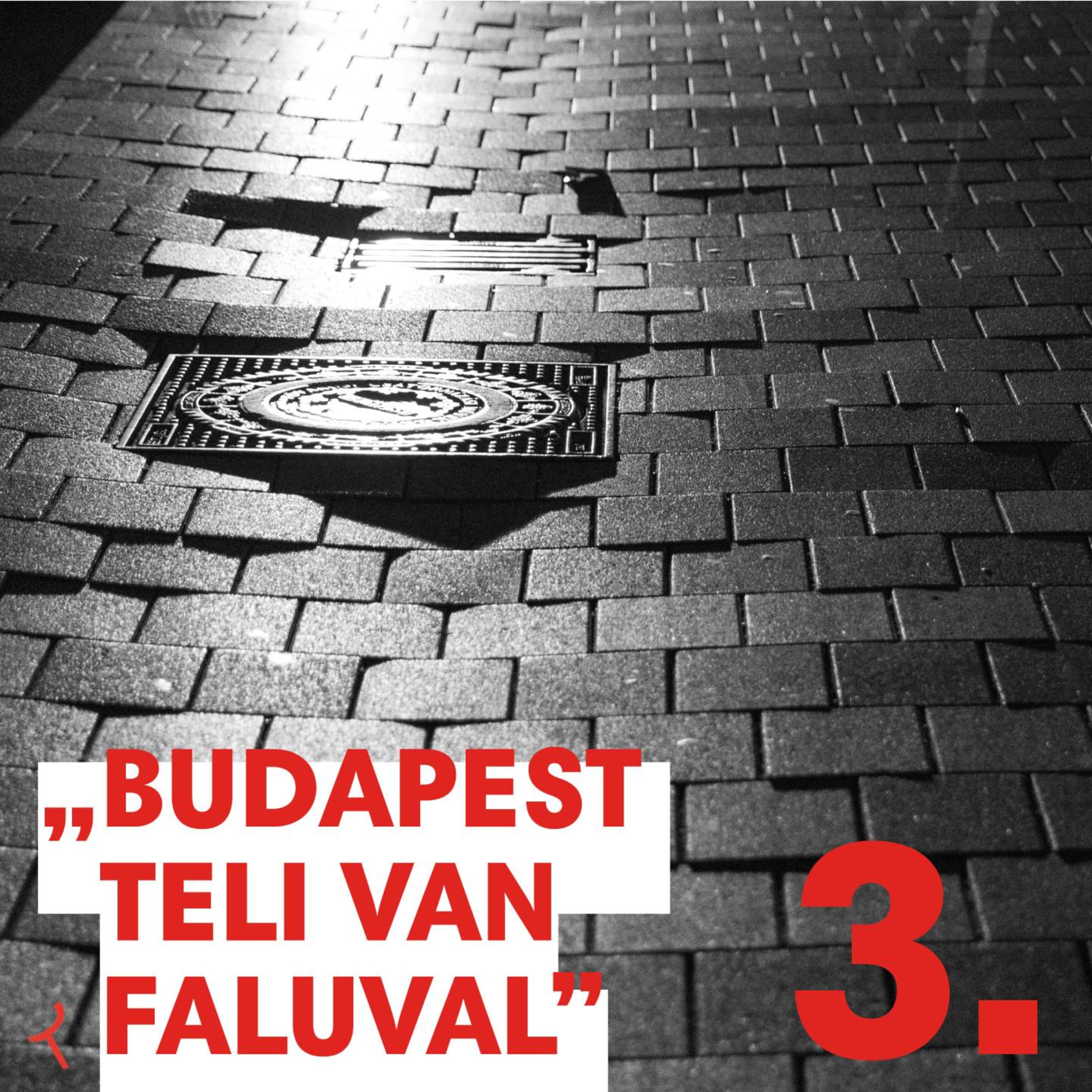 N. Kósa Judit - Nagykörút: a pesti polgár lelke