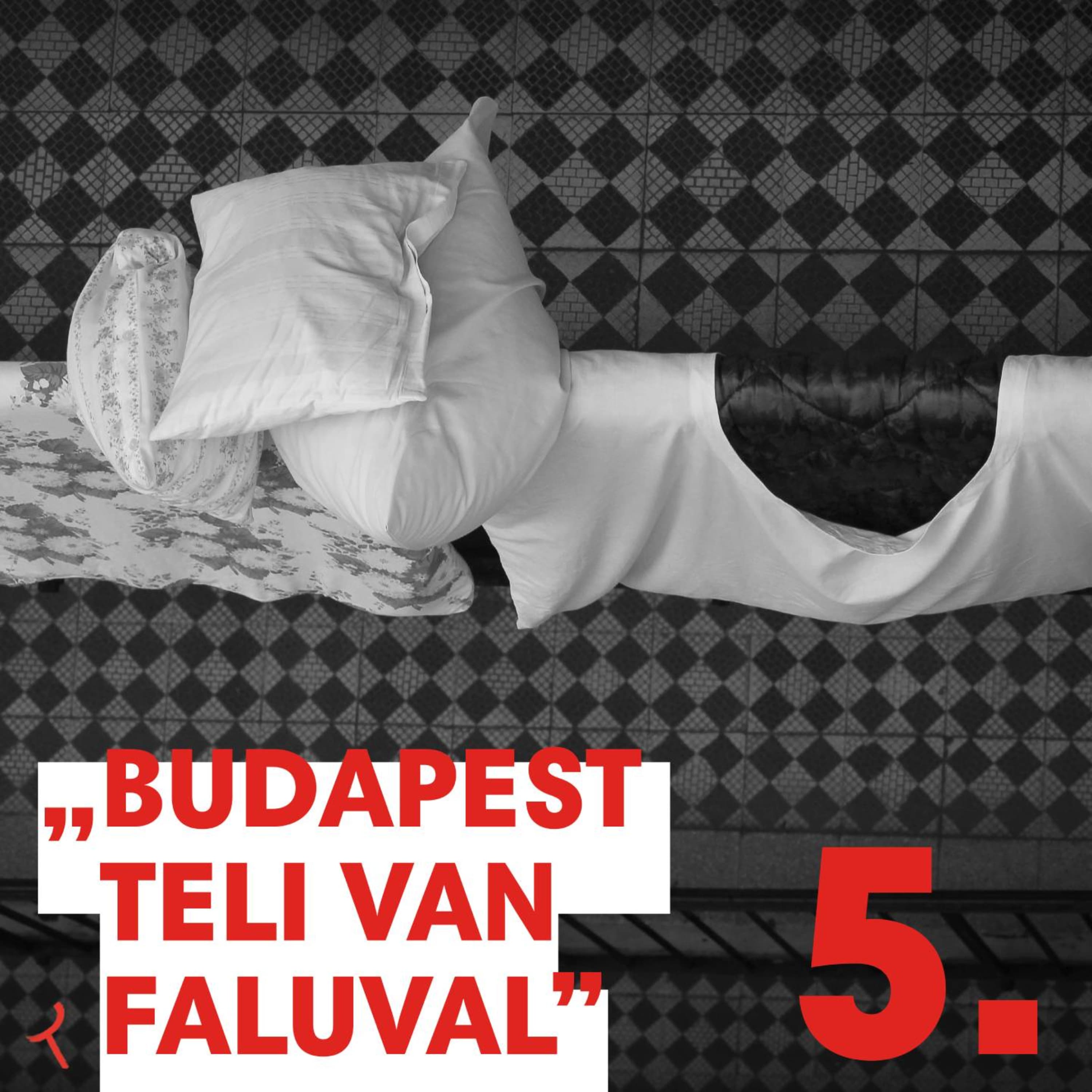 Bajzáth Sándor - Szerhasználó Budapest