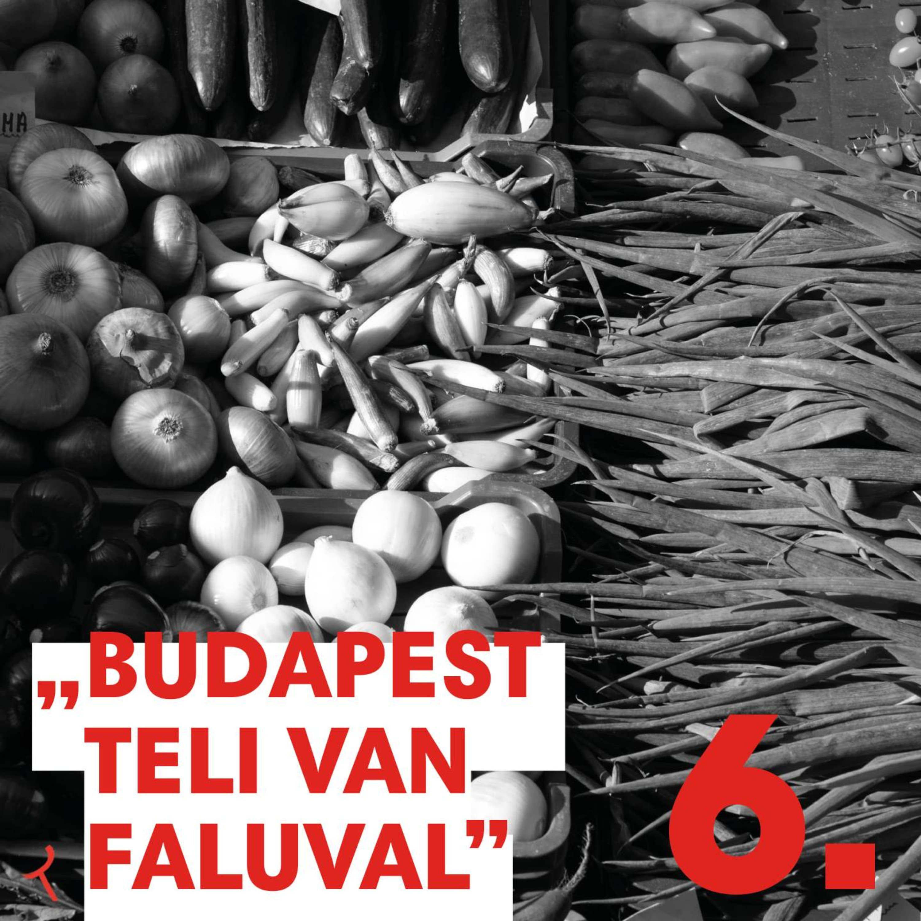 Saly Noémi - Mit tegyen a város, ha süket a hatalom?