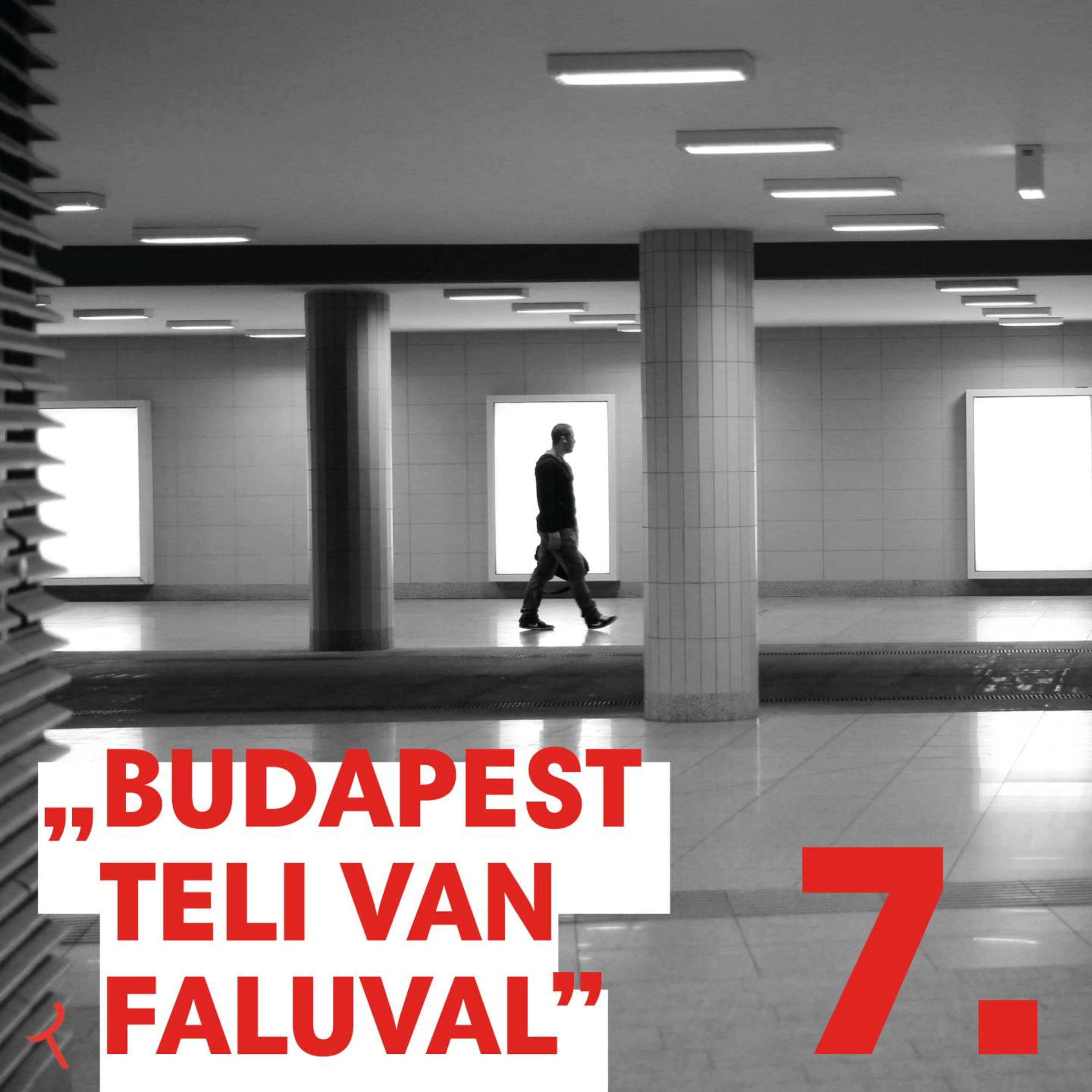 Nyáry Luca - Trash-Budapest