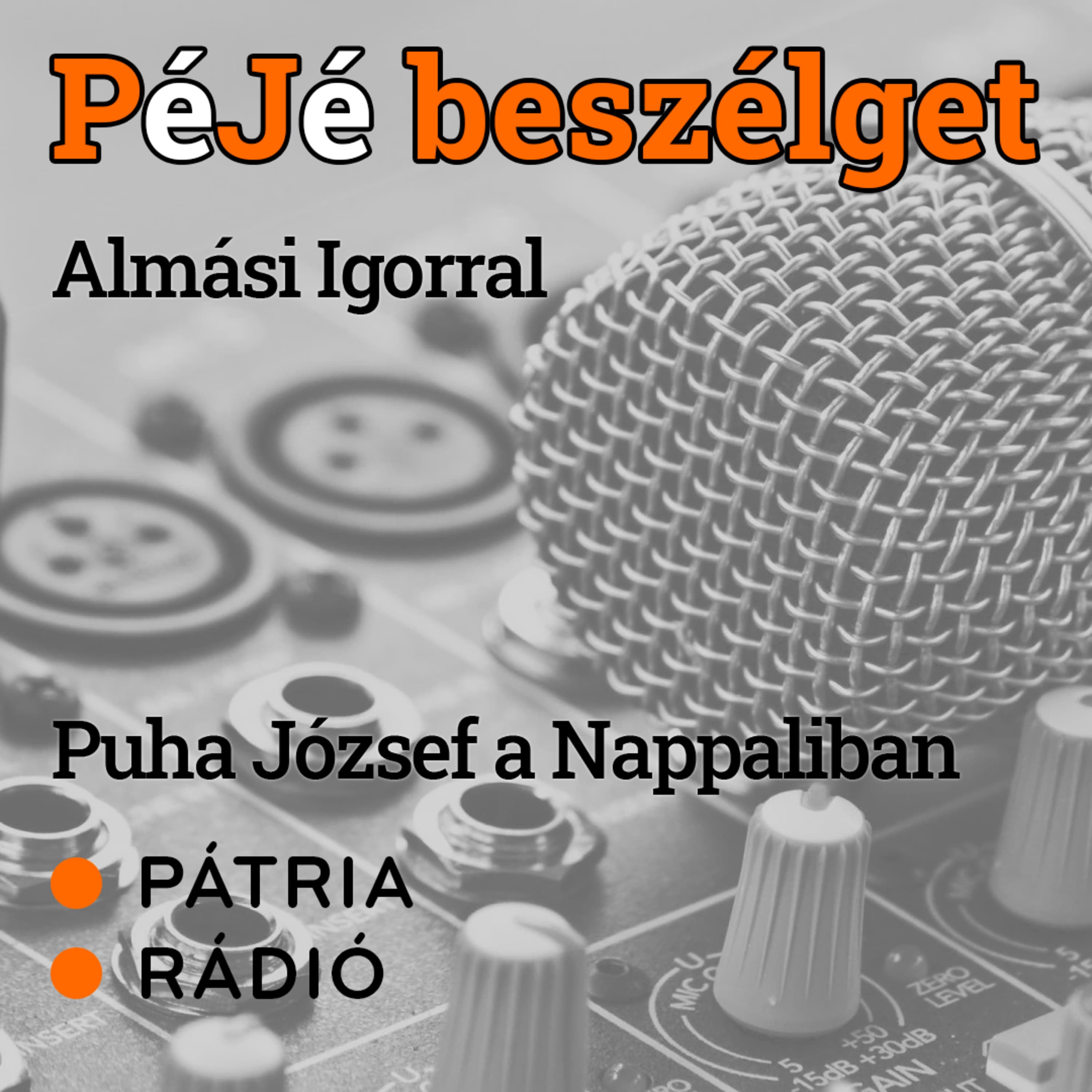 PéJé beszélget #29 | Zongoraművész és üzletember – Z!GOR két élete