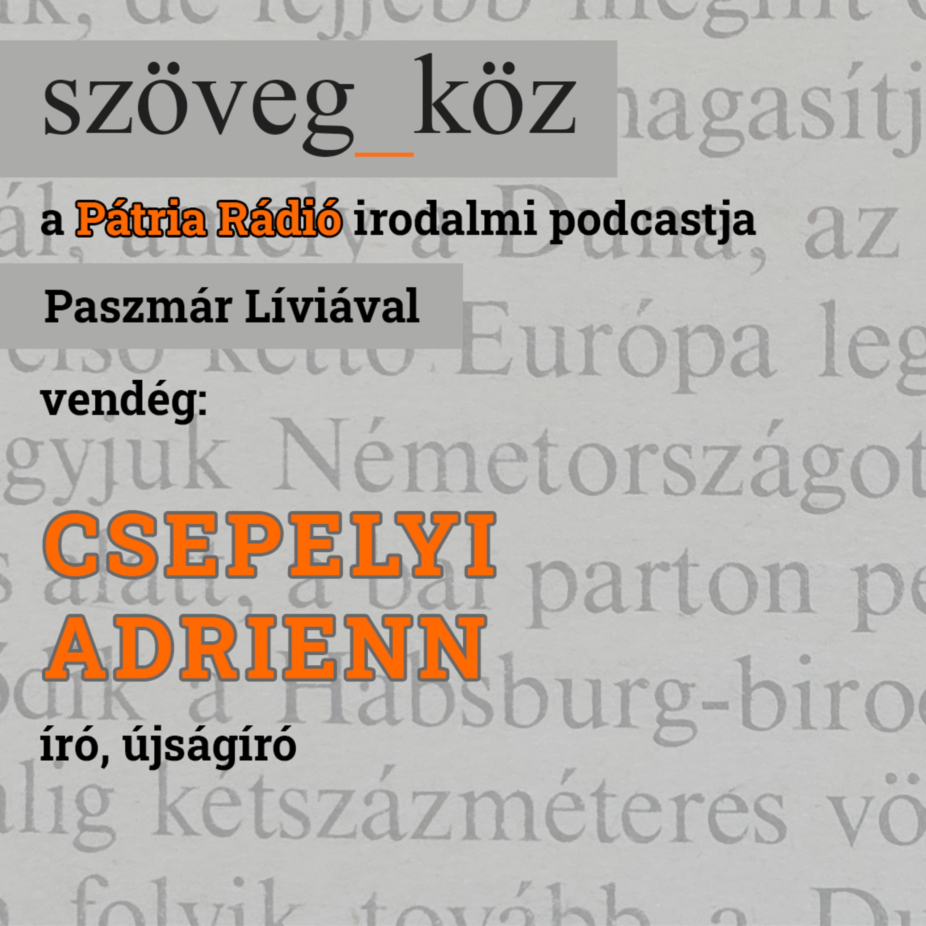 Szöveg-köz #08 | Csepelyi Adrienn nemcsak Szatmárt magyaráz