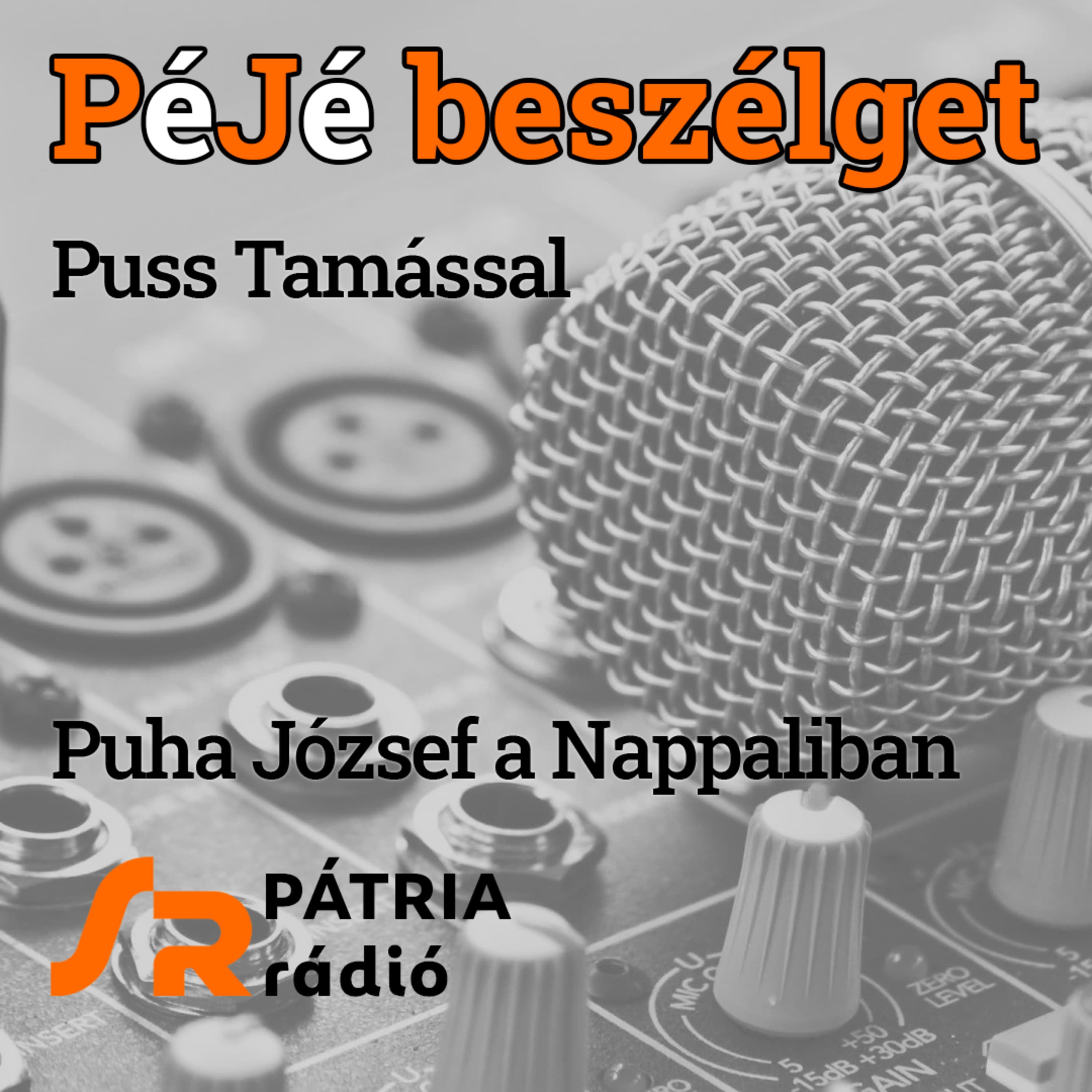 PéJé beszélget #36 | „Cseresznyefák alatt az álmok az égig értek” – születésnapi beszélgetés Puss Tamással
