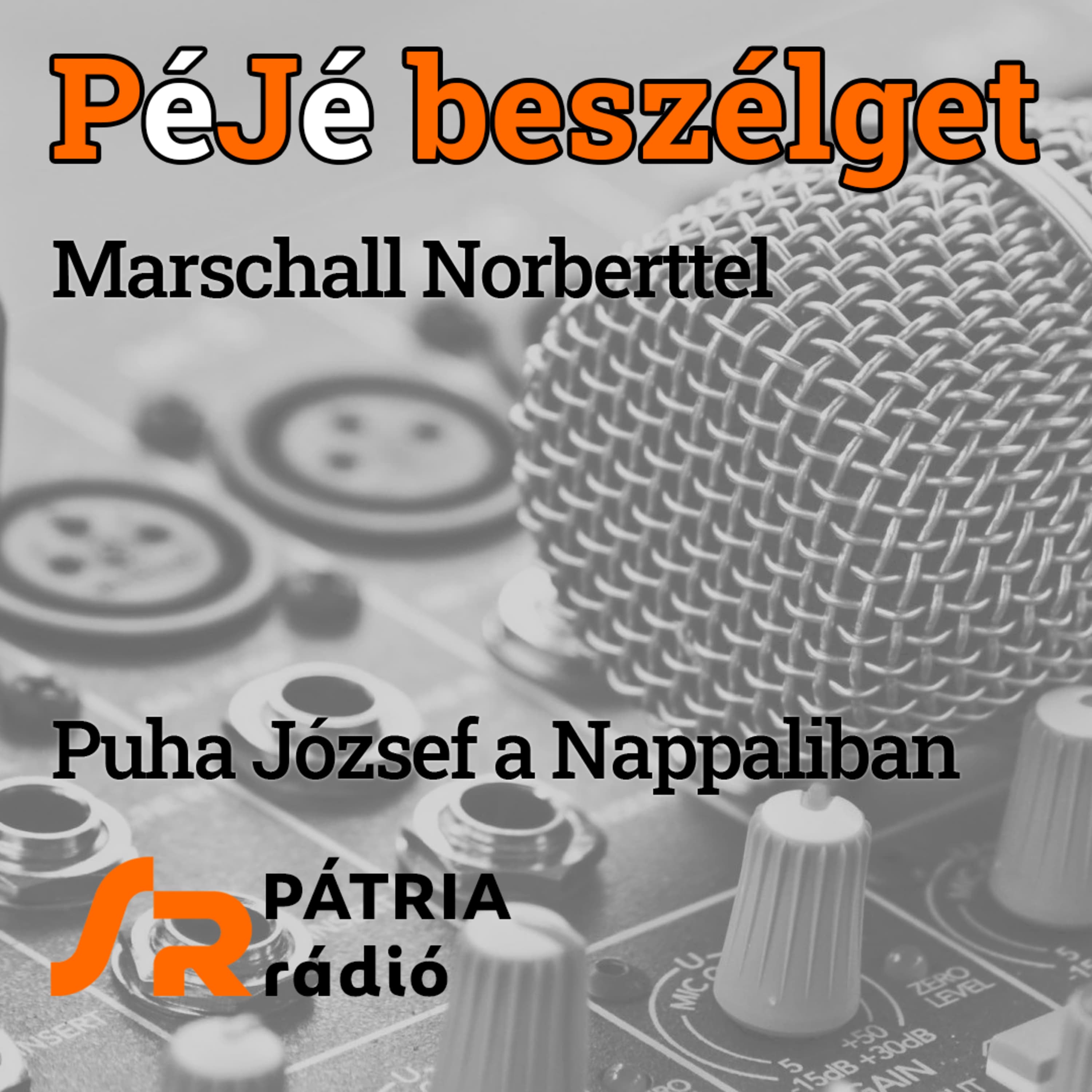 PéJé beszélget #37 | A harsonától a retrózenéig – Marschall Norbert kálváriája és felemelkedése
