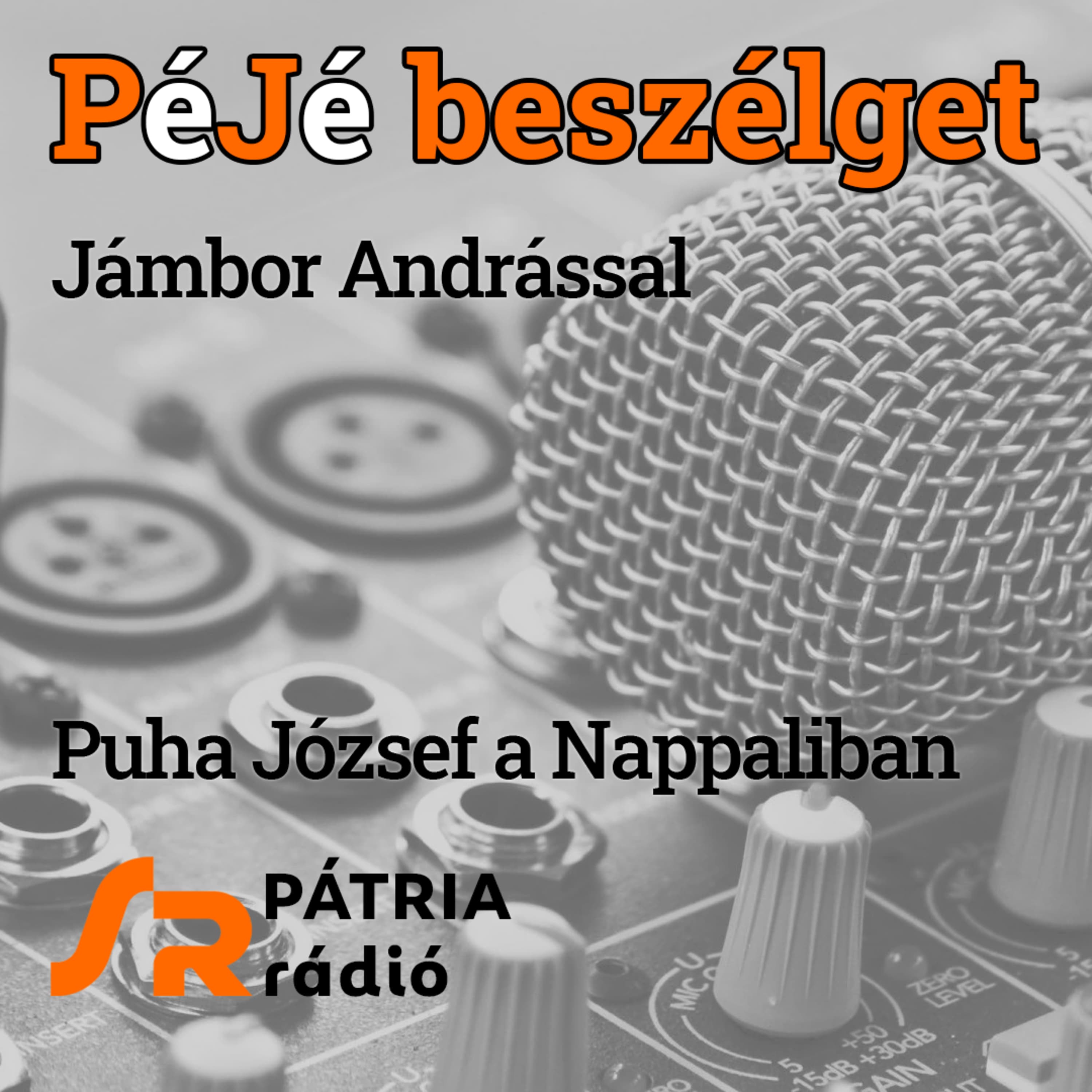 PéJé beszélget #40 | „Antiorbánizmusban ragadtunk” – vallja Jámbor András