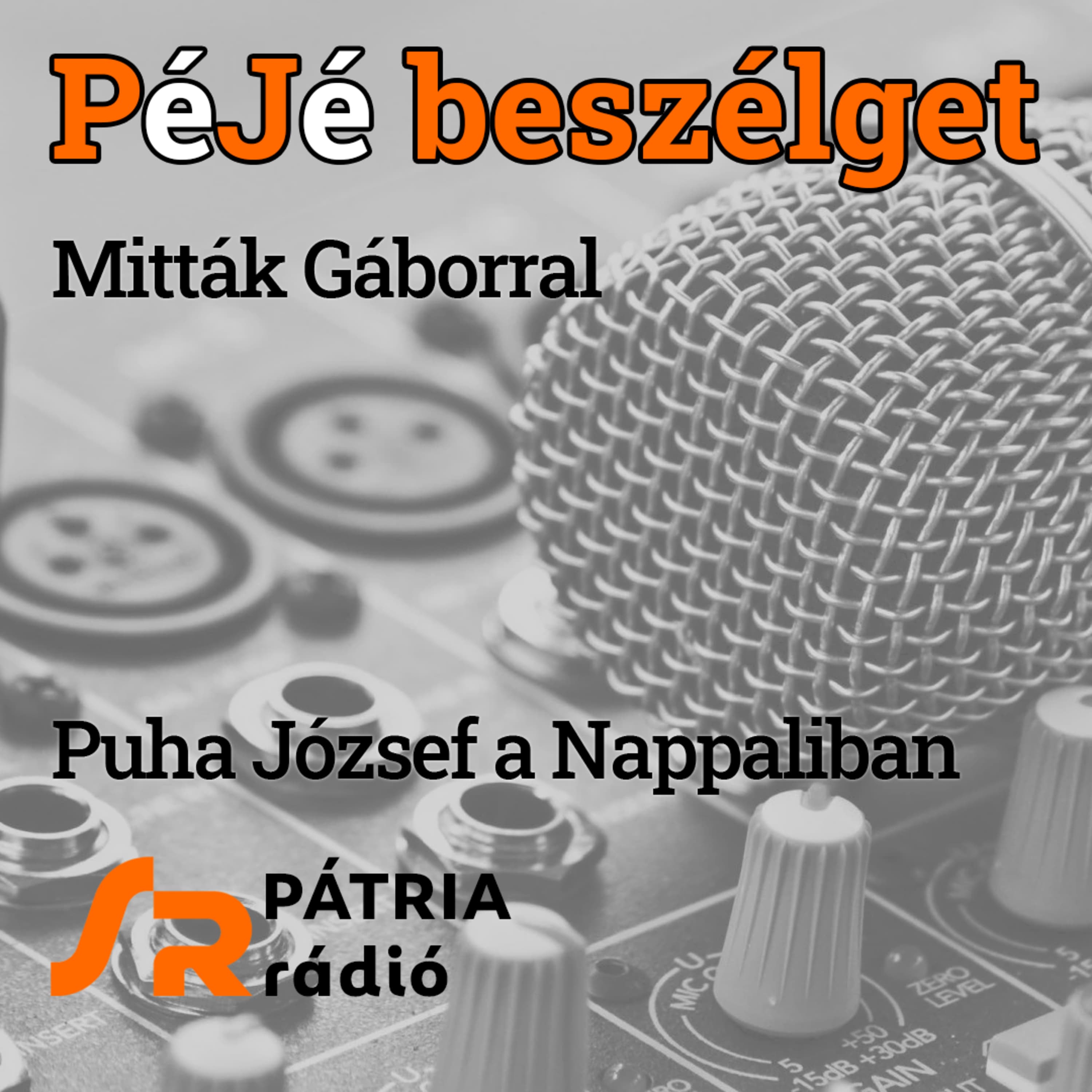 PéJé beszélget #41 | Határ menti nagykövet, húszévesen – Mitták Gábor kooperációt segítő munkája