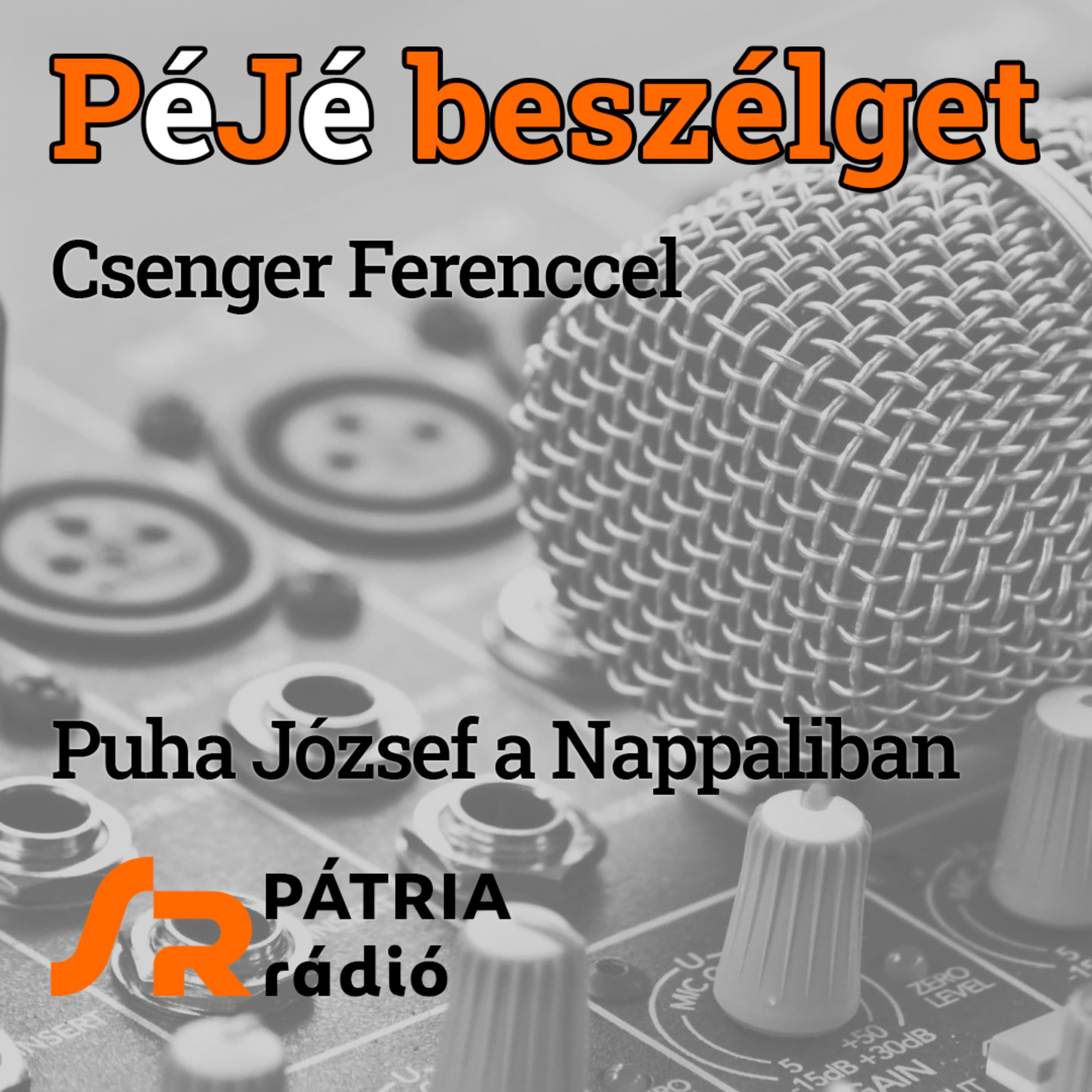 PéJé beszélget #43 | Túl a hatvanon – Csenger Ferenc jubileuma