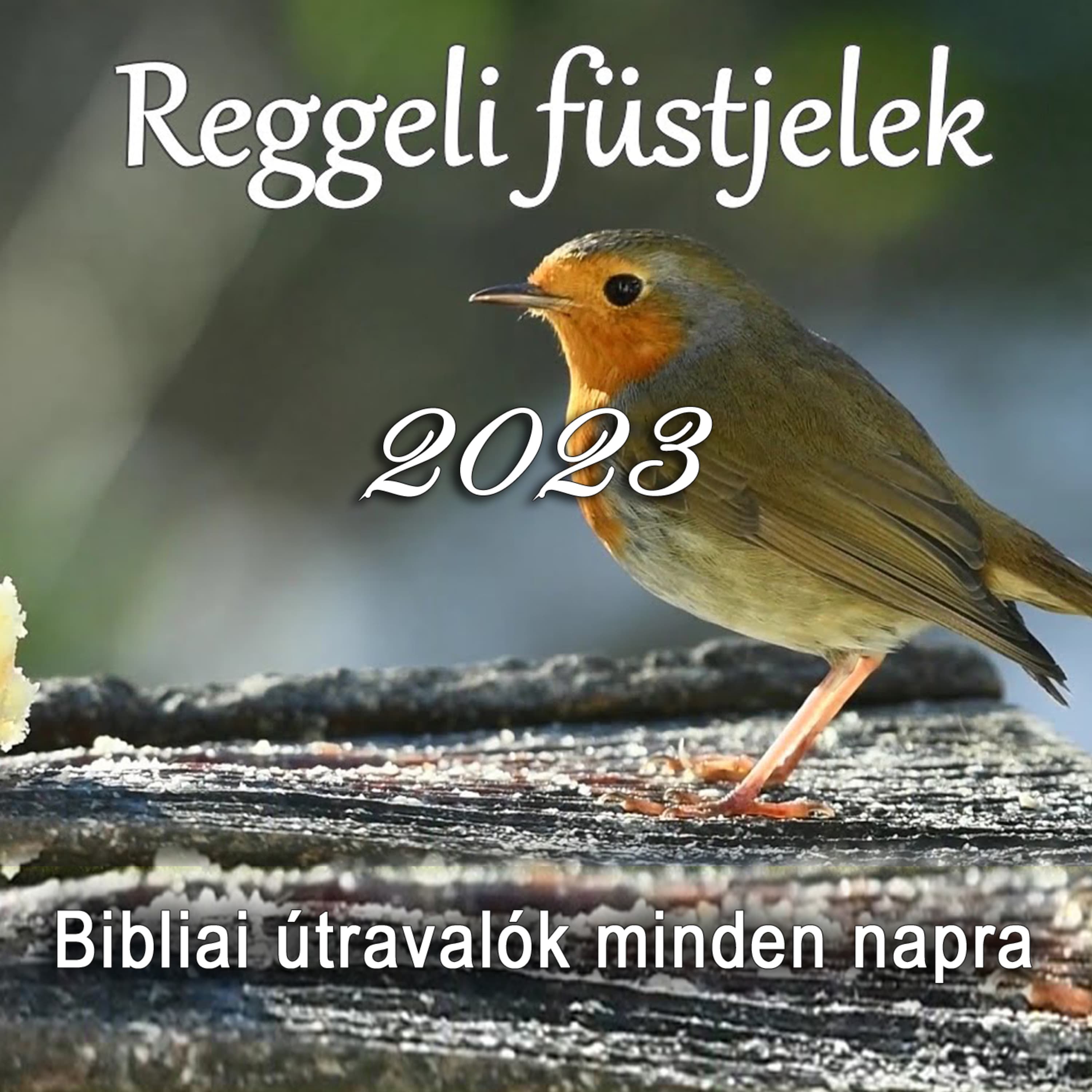 MEG AKARSZ VIGASZTALÓDNI? • 2023.03.03. • Vígh Ágnes