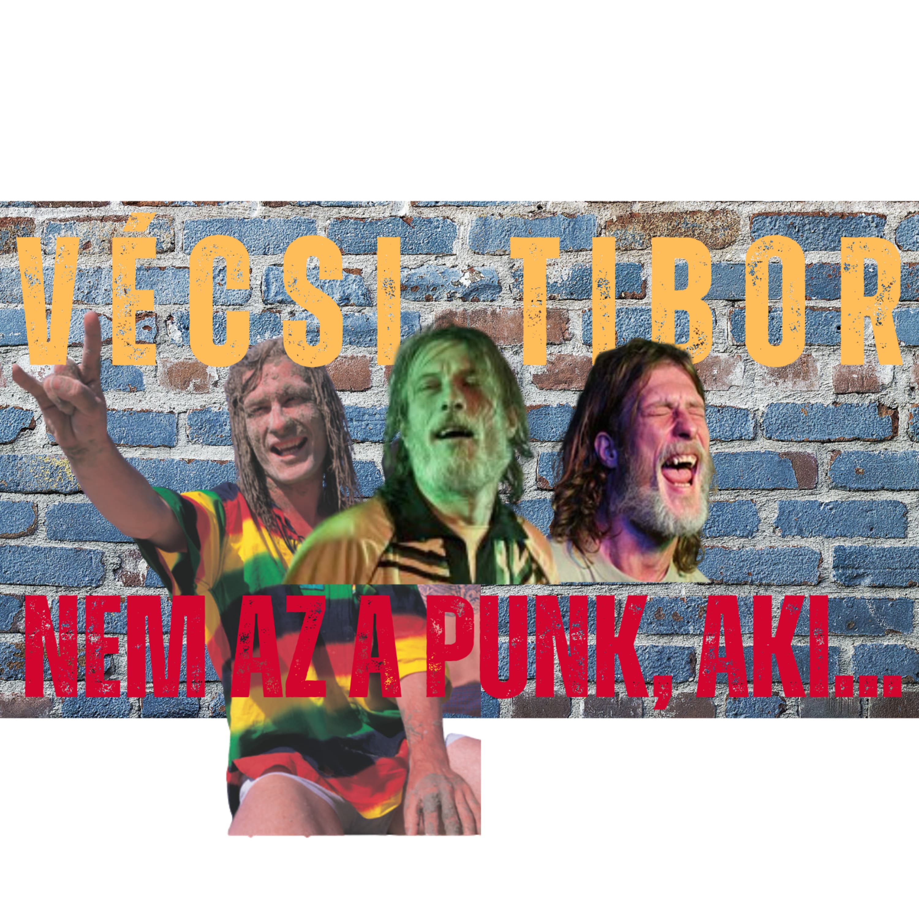 Feszegetni a határokat - Vécsi Tibor - Nem az a punk, aki... nap#35 spp#157