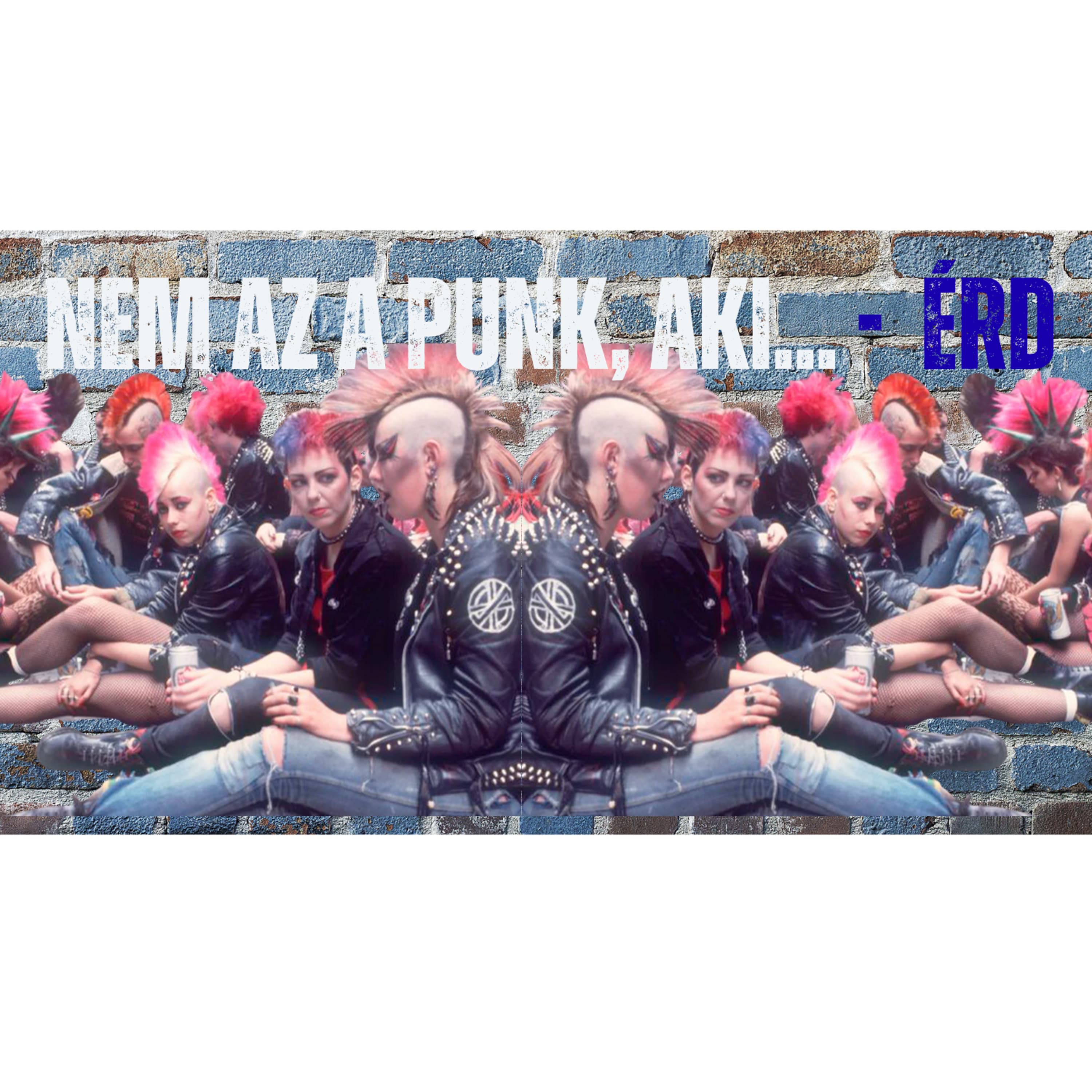 Érd - Nem az a punk, aki....nap#37 spp#162