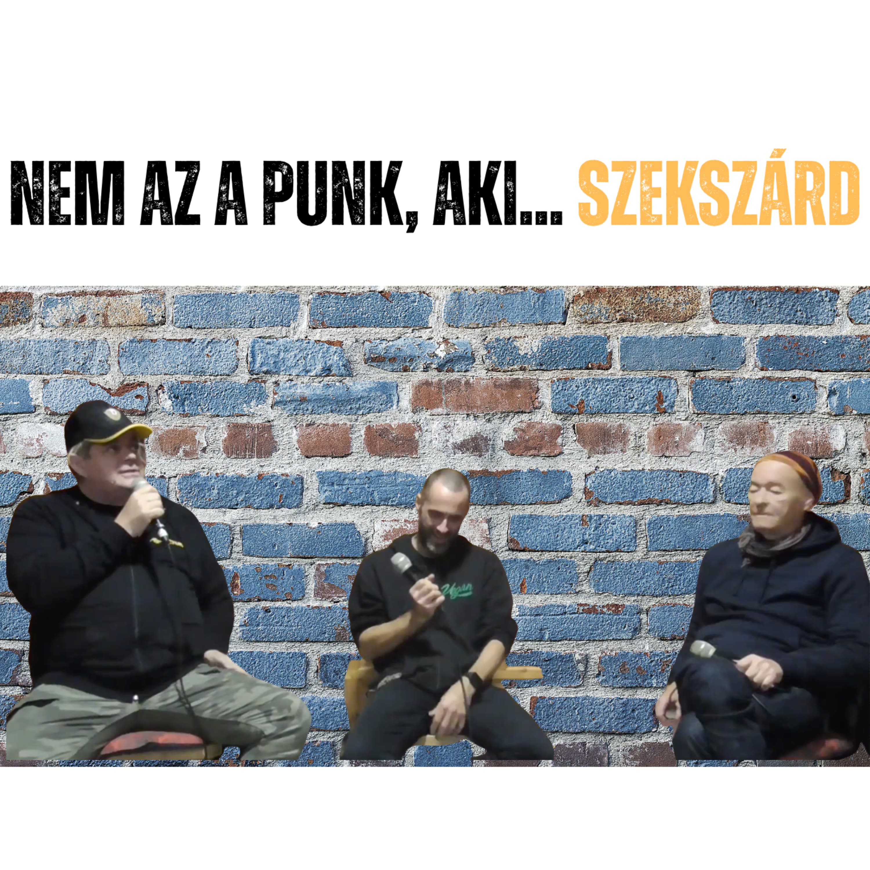Szekszárd - Nem az a punk, aki.... nap#40 spp#170 - Imre Norbi, Acélos Balázs és Rupaszov Tamás