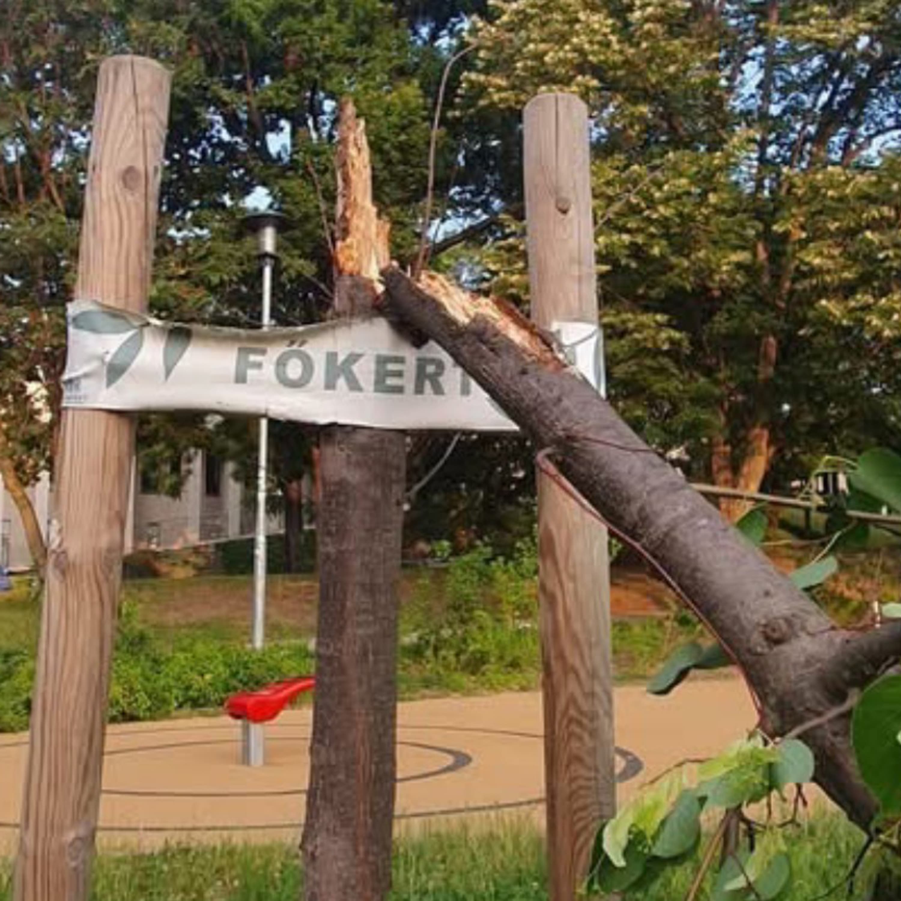 Zöld Hang podcast: Főkert fűvel, fával