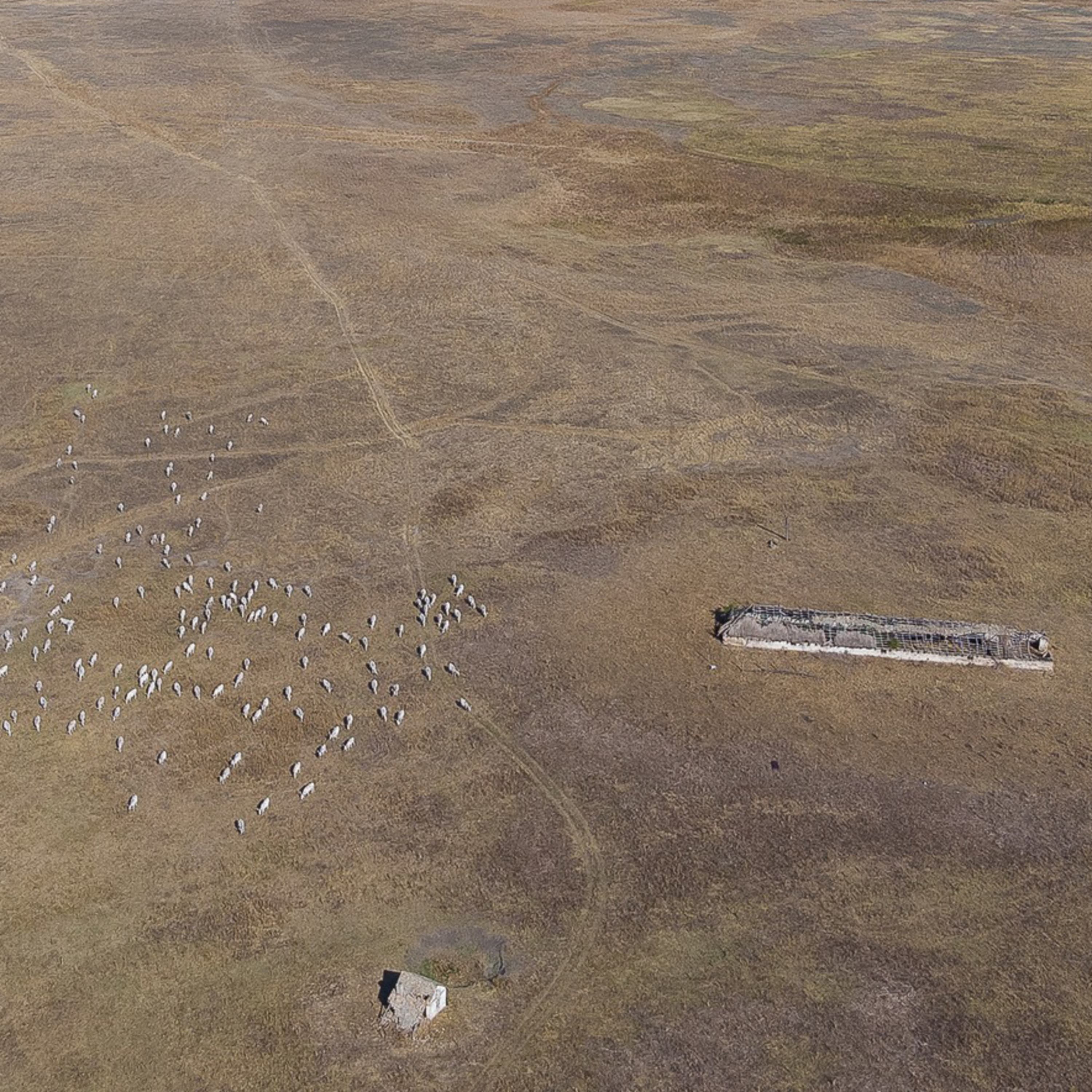 Zöld Hang podcast: Vizet a tájba, de hogyan?