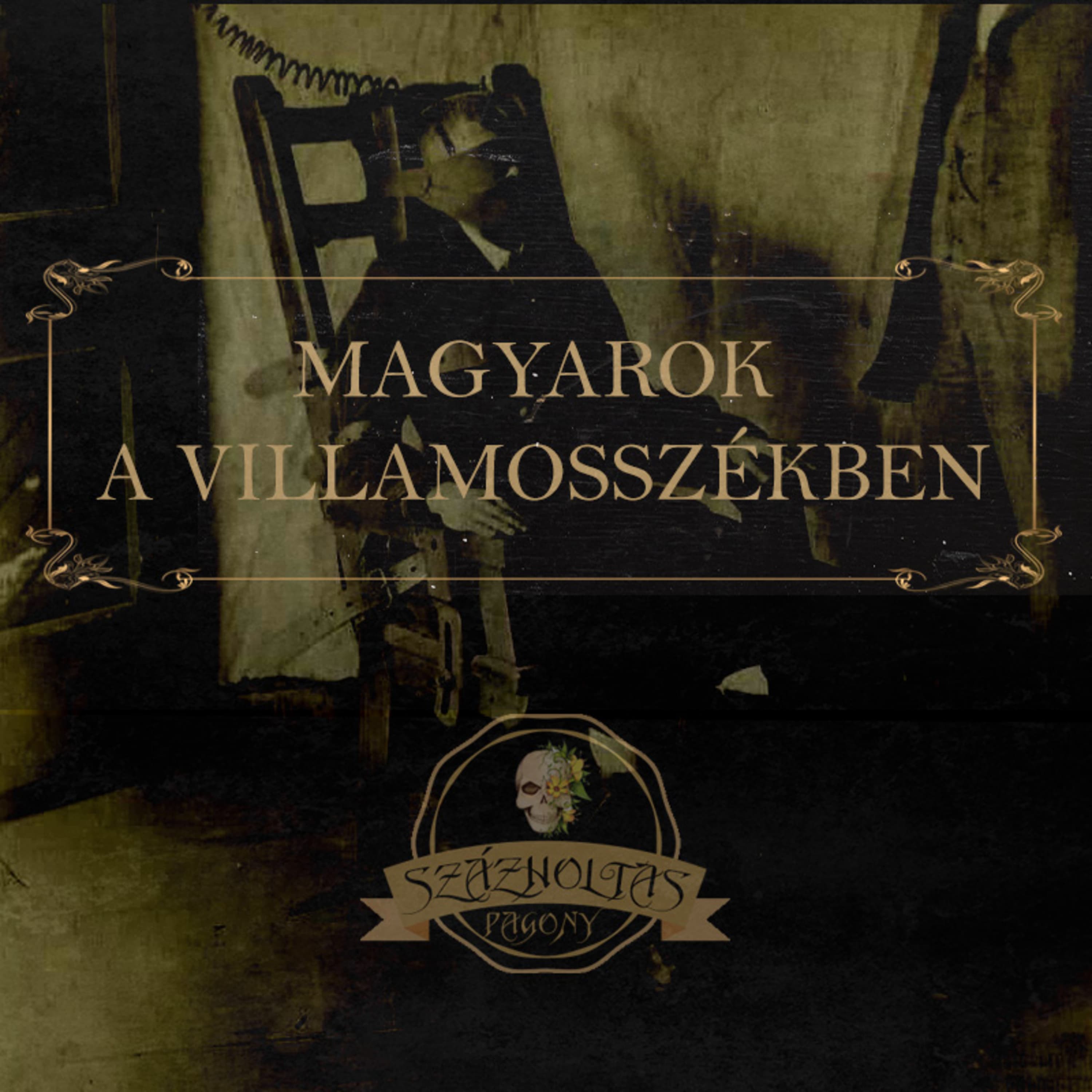 Magyarok a villamosszékben