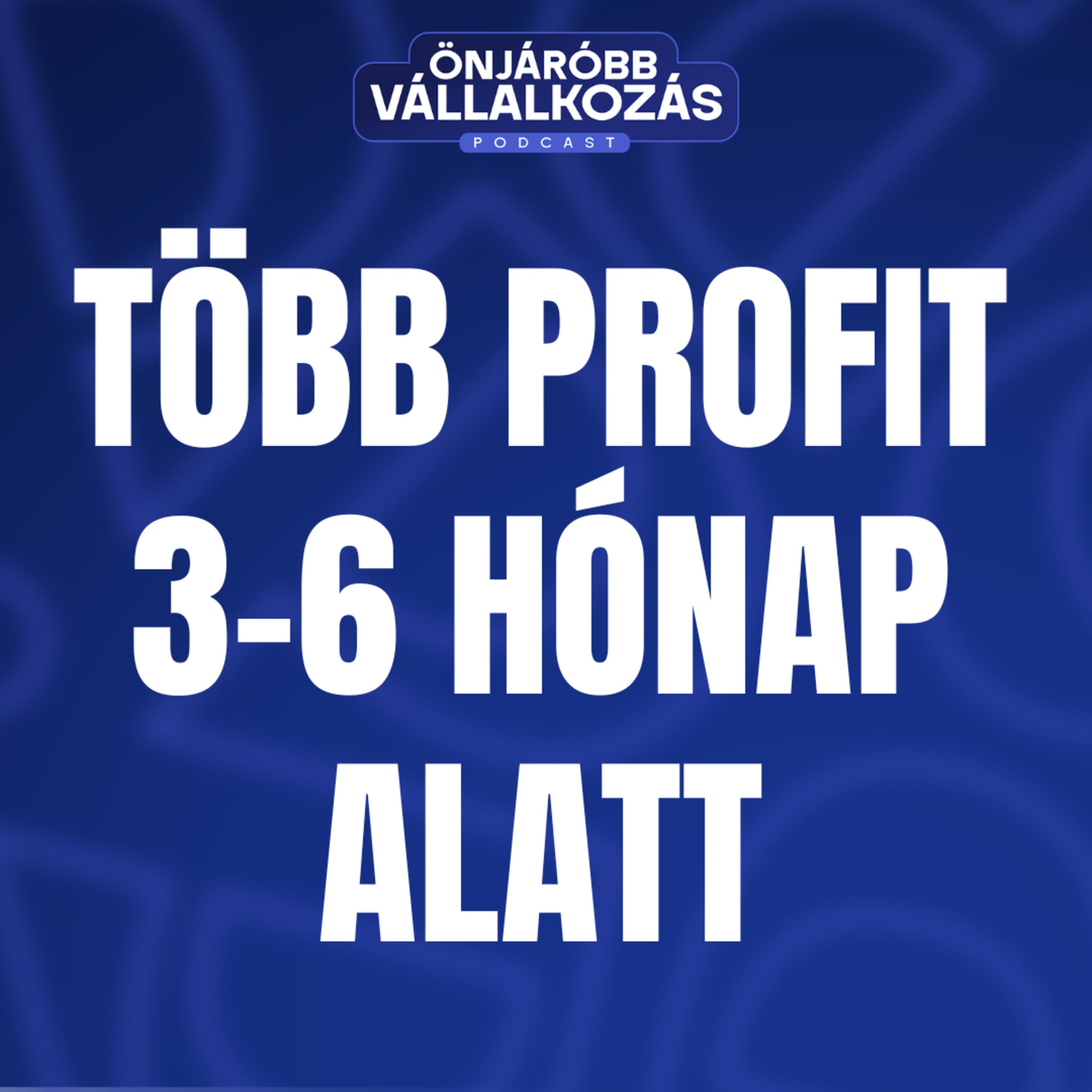Több profit 3–6 hónap alatt