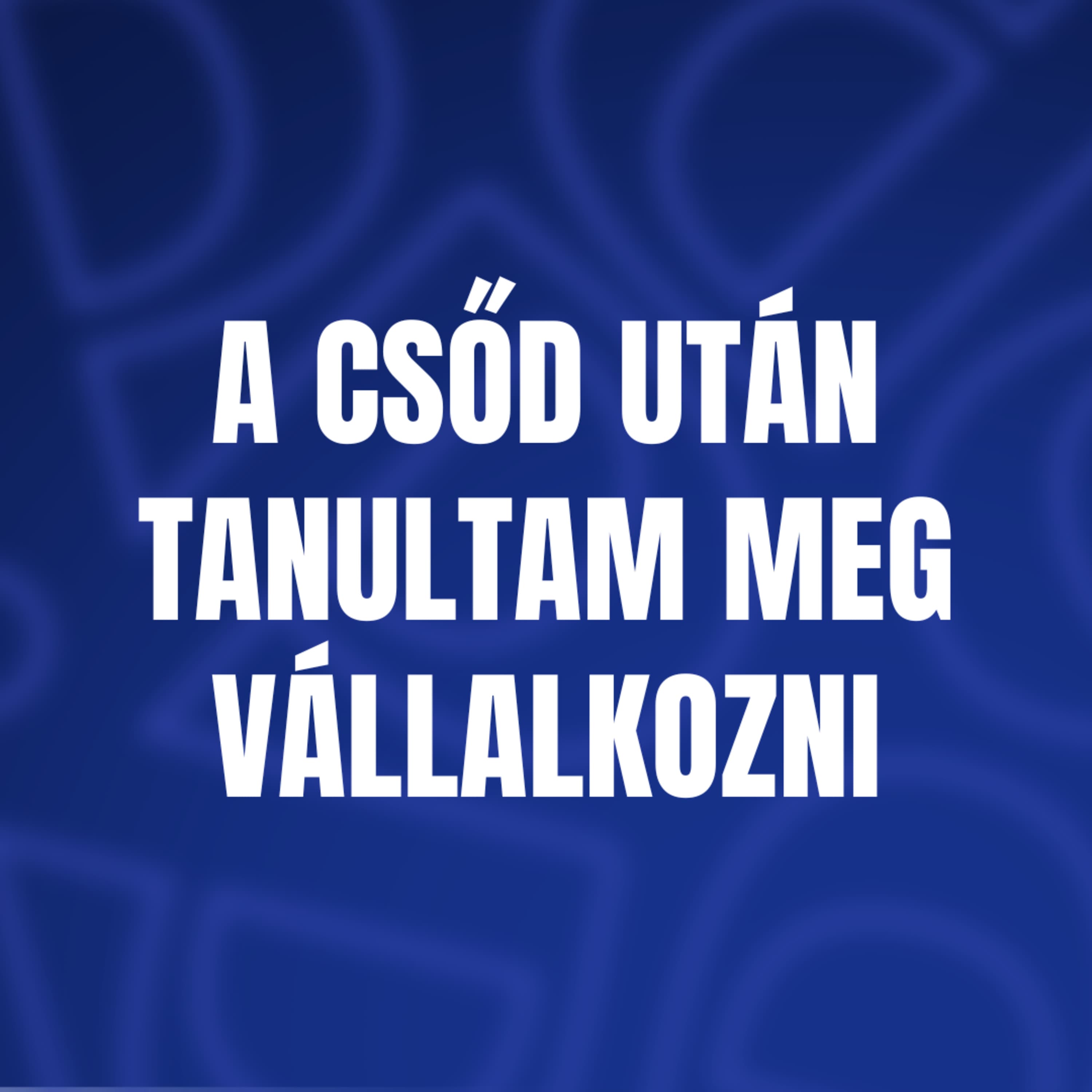 A csőd után tanultam meg vállalkozni