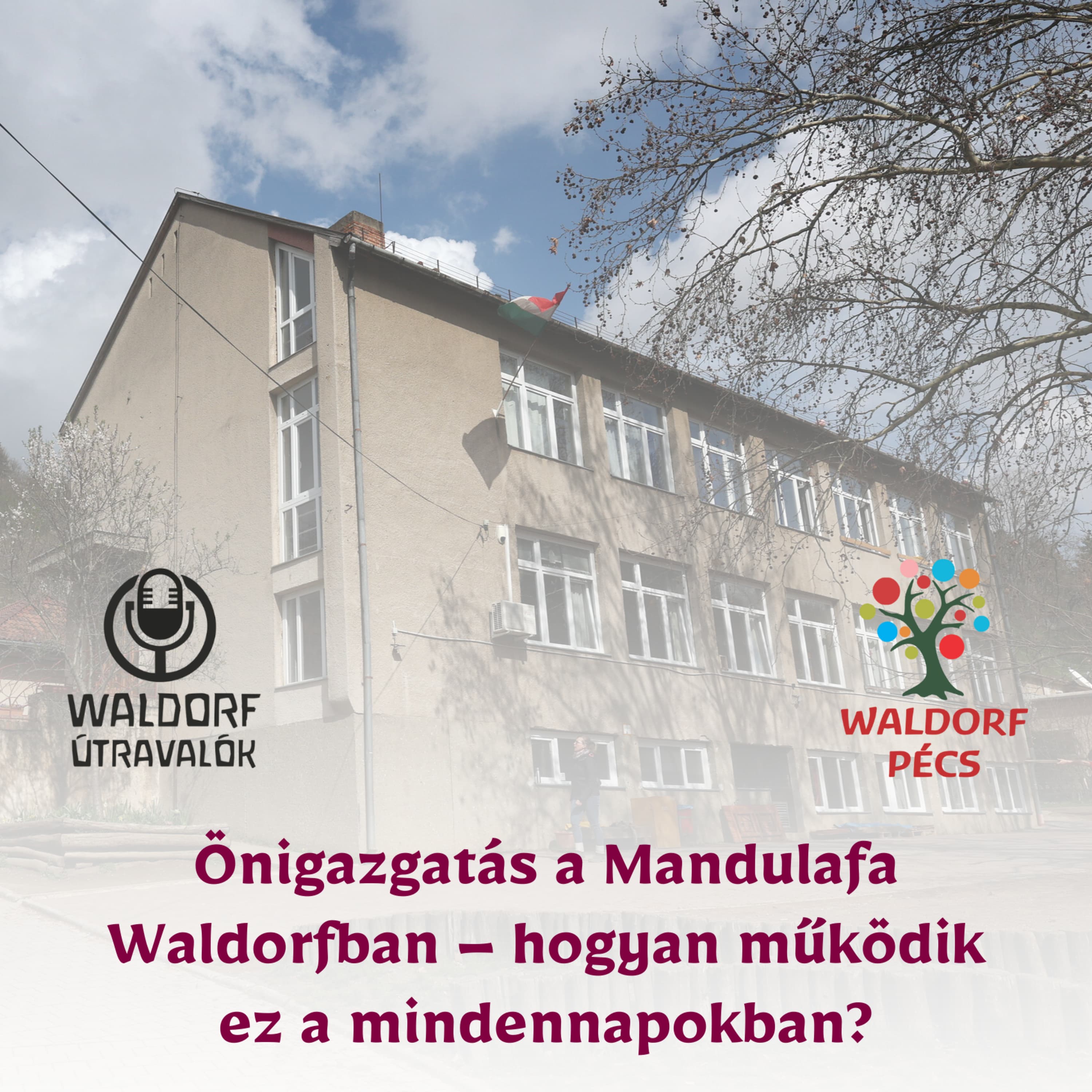 A pécsi Mandulafa Waldorf működése: Hogyan épül fel egy önigazgató intézmény?