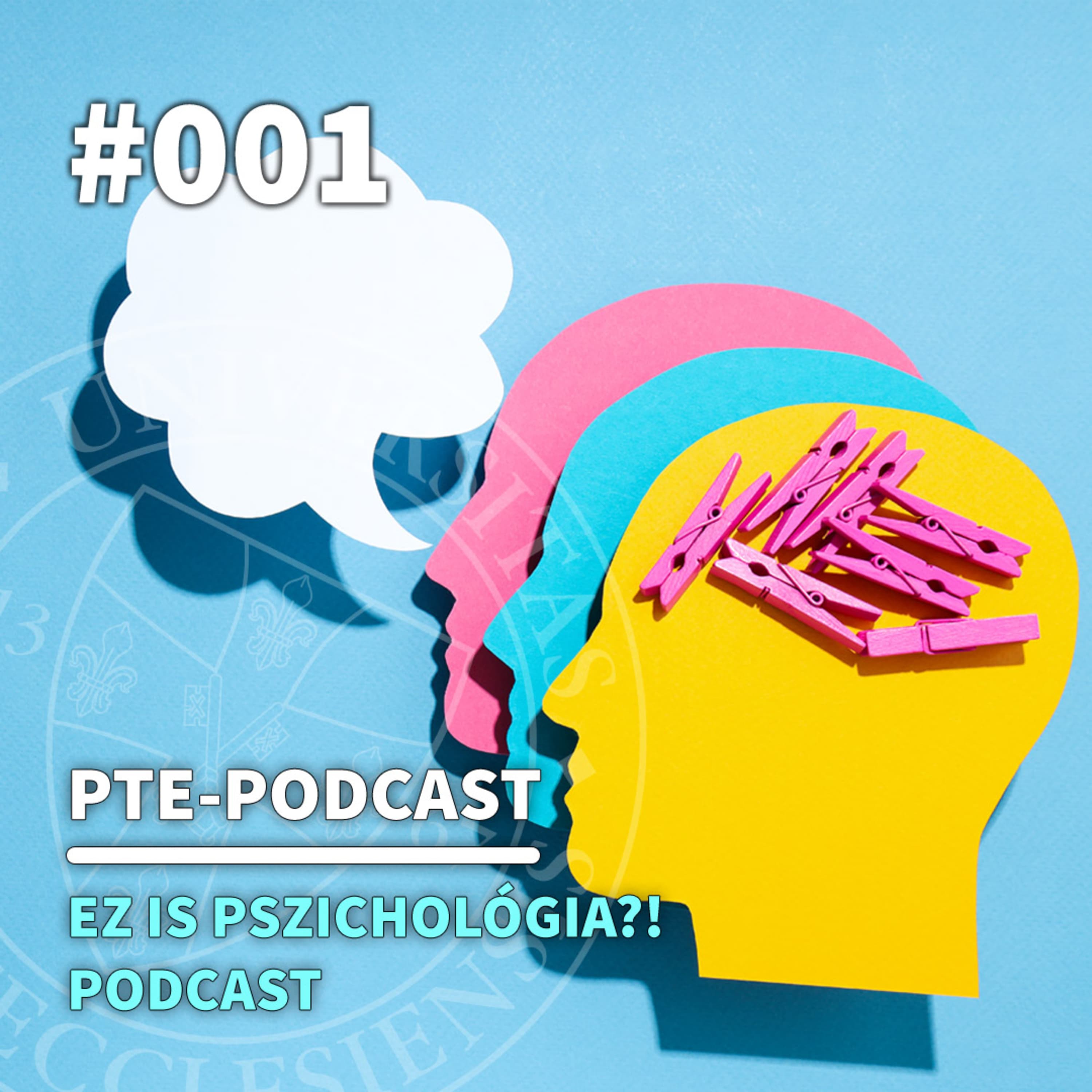 Érzelmek viharában - a borderline személyiségzavar