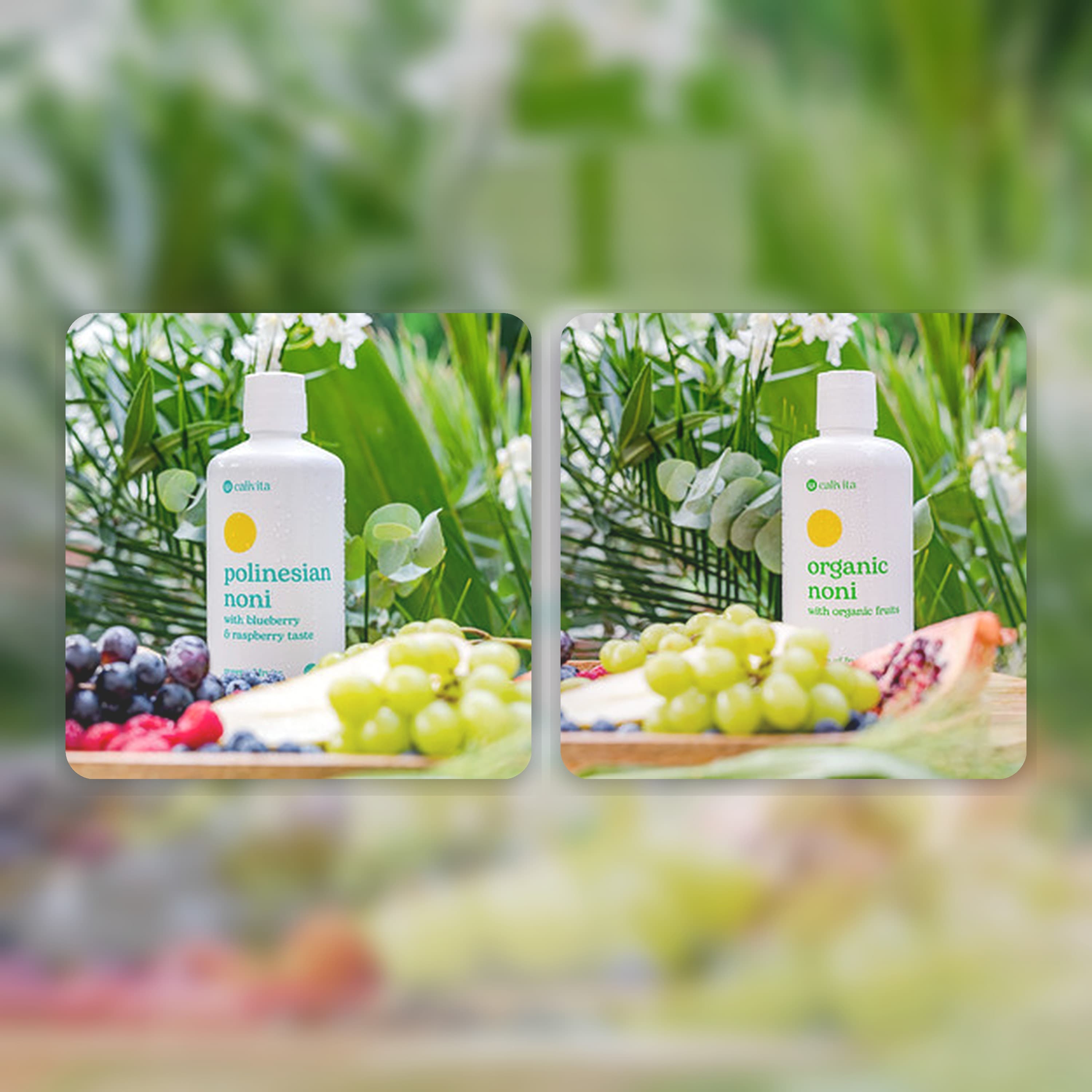 organic noni & polinesian noni: melyiket válaszd a napi „belső újratöltéshez”?