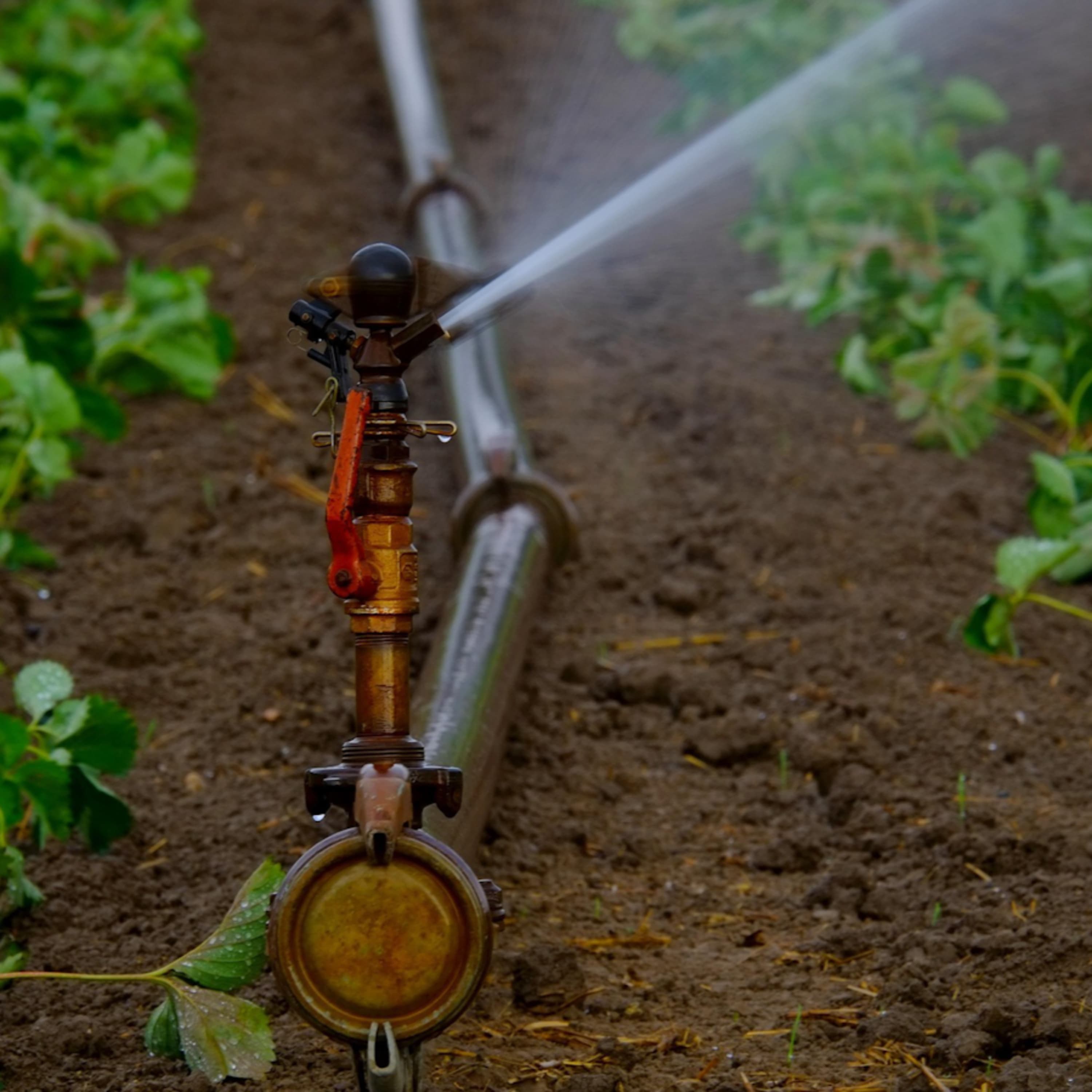 Vizet a tájba – agrárszempontú helyzetértékelés