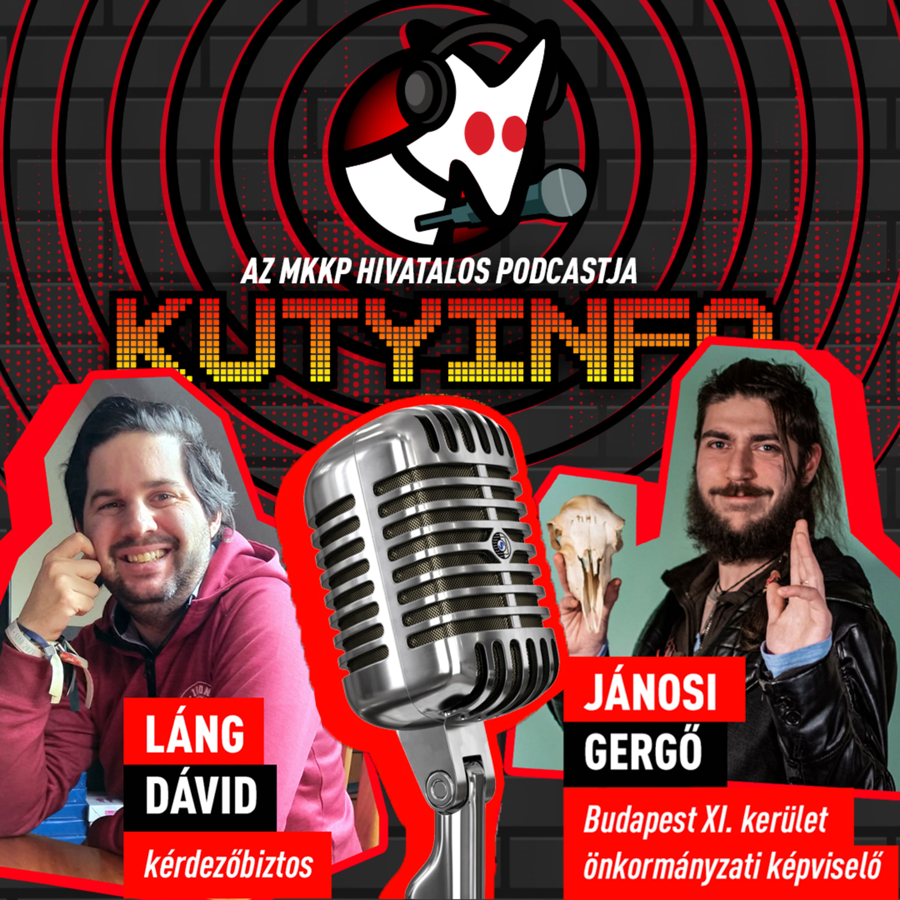 Jó összeállítás lehetett volna az arcokból, amiket az alakuló ülésen vágtam | Kutyinfo: Jánosi Gergő