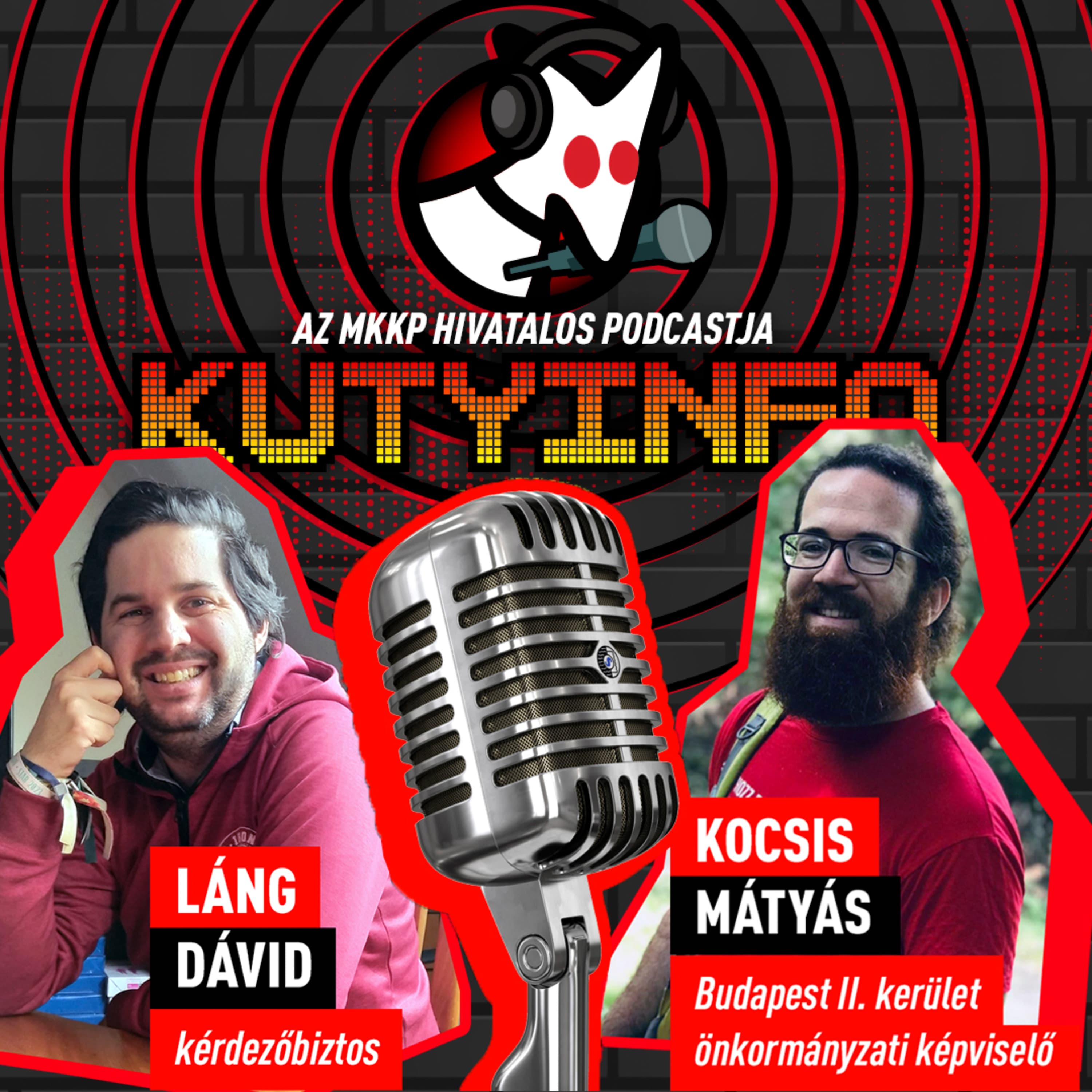 Hogyan lesz egy kvantumfizikusból önkormányzati képviselő? | Kutyinfo: Kocsis Mátyás