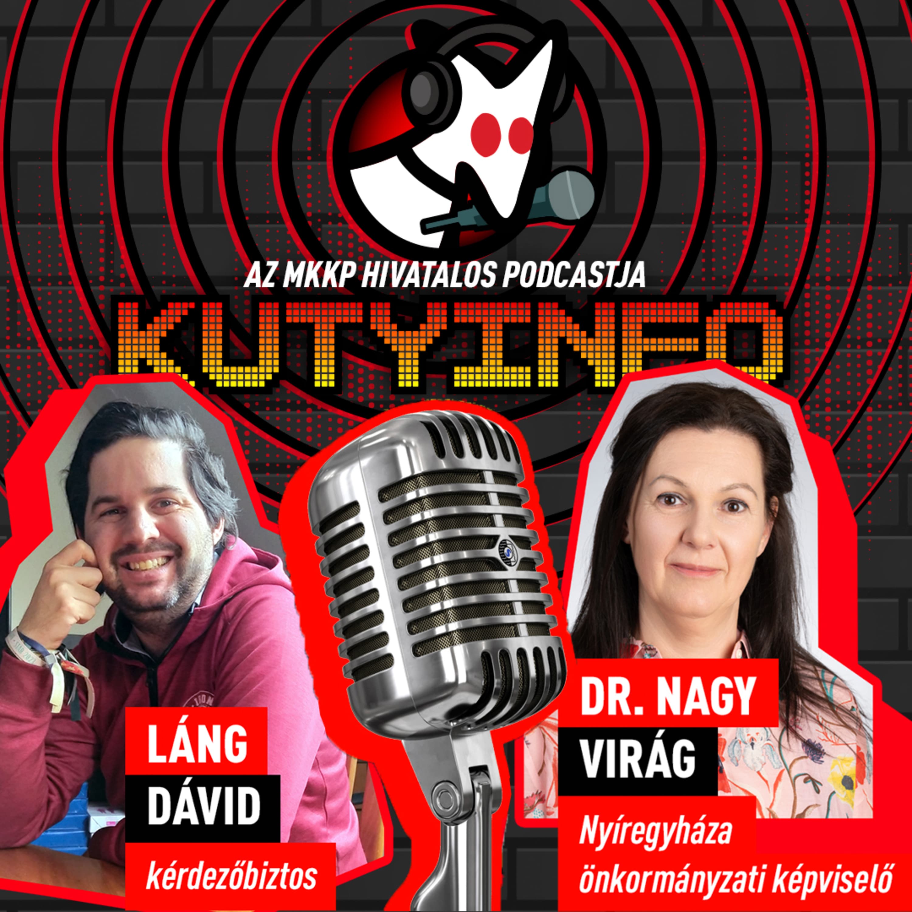 A Fidesz kiröhögött, az ellenzék azt mondta, szálljunk le a magas lóról | Kutyinfo: Dr. Nagy Virág