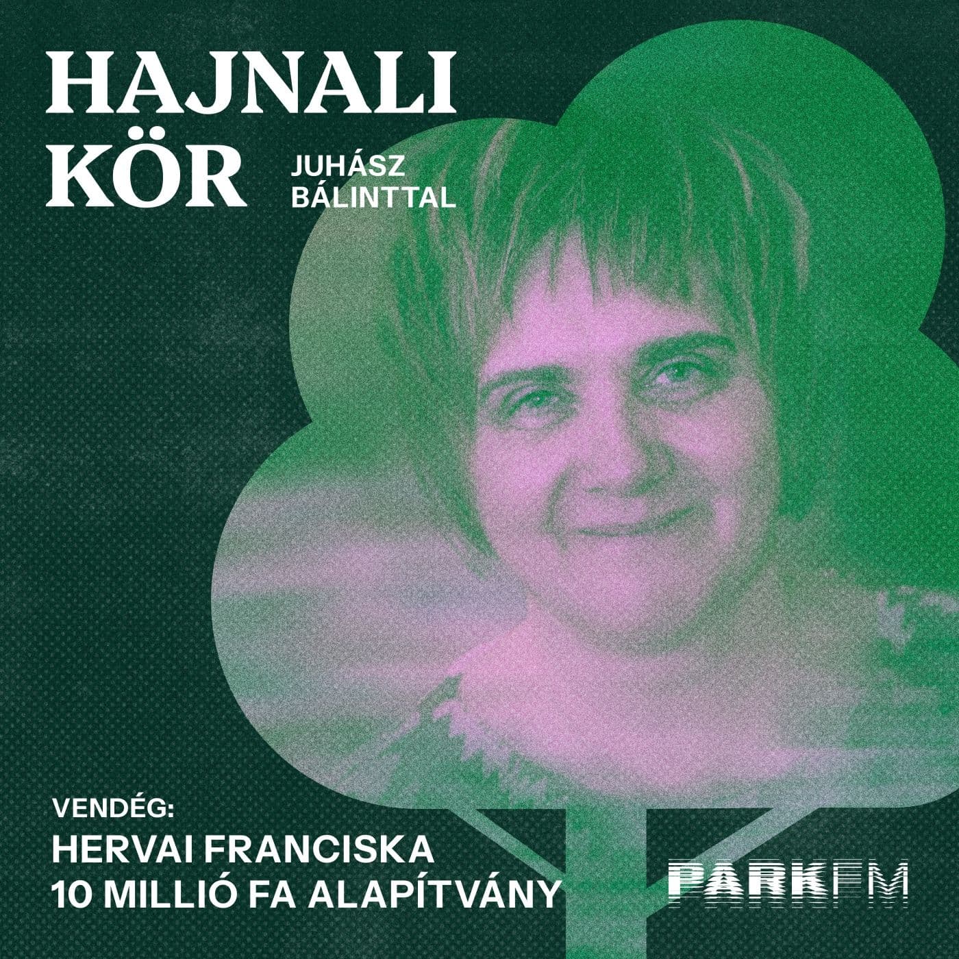 10M Fa: 700.000 fánál járunk jelenleg, nagyon kemény munka | Park FM – Hajnali Kör