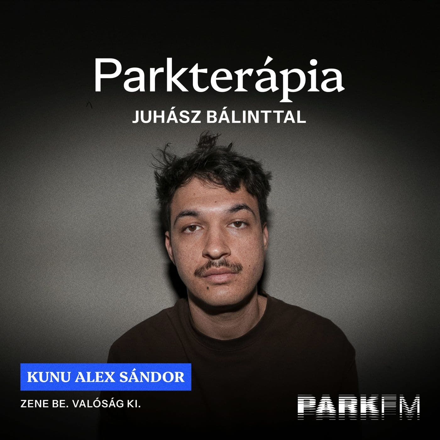 Világéletemben izgatott, hogy autonóm művész legyek - Kunu Alex Sándor | Park FM - Parkterápia
