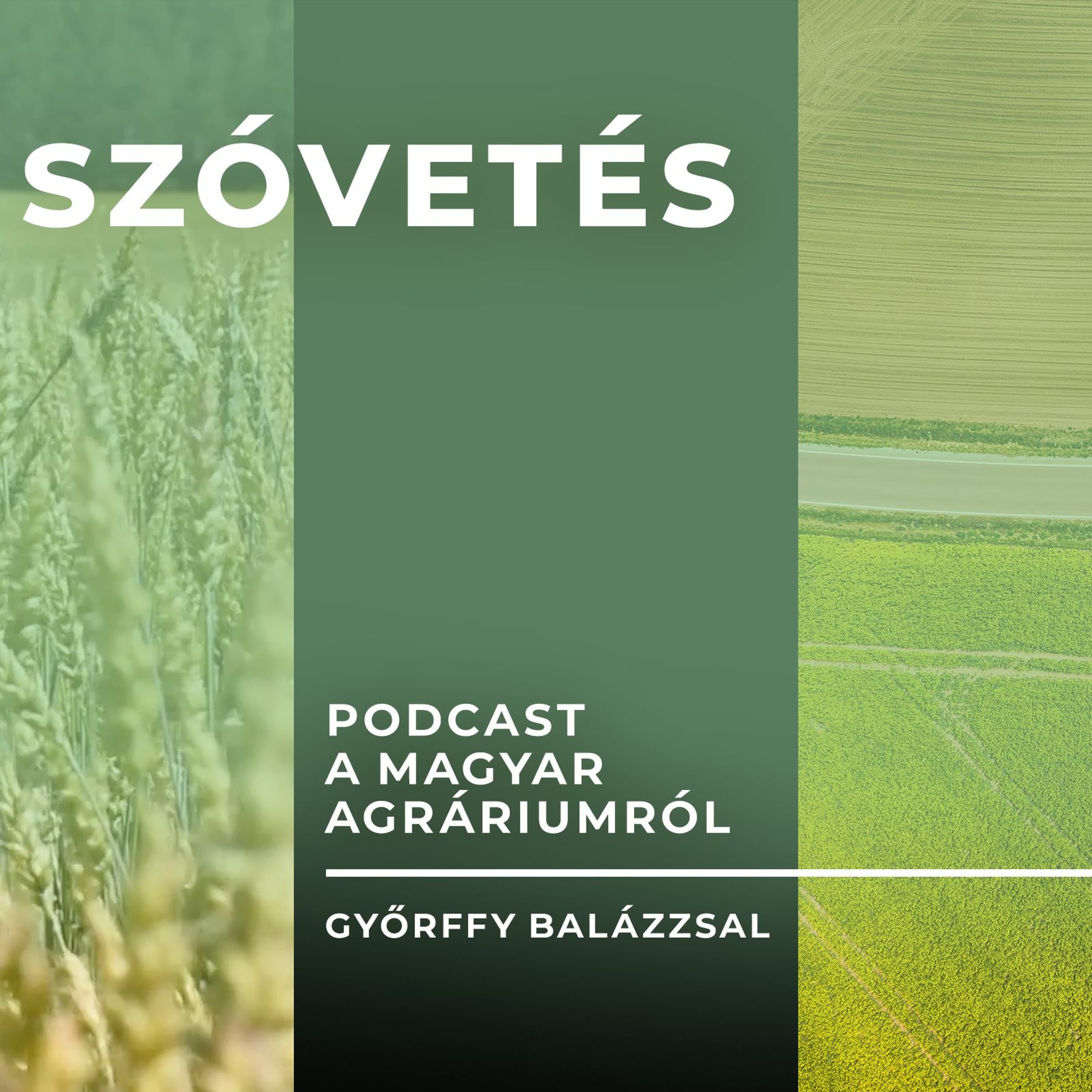 Kenyeres Sándorral a hazai dohánytermesztésről - Szóvetés podcast 3. évad 4. epizód