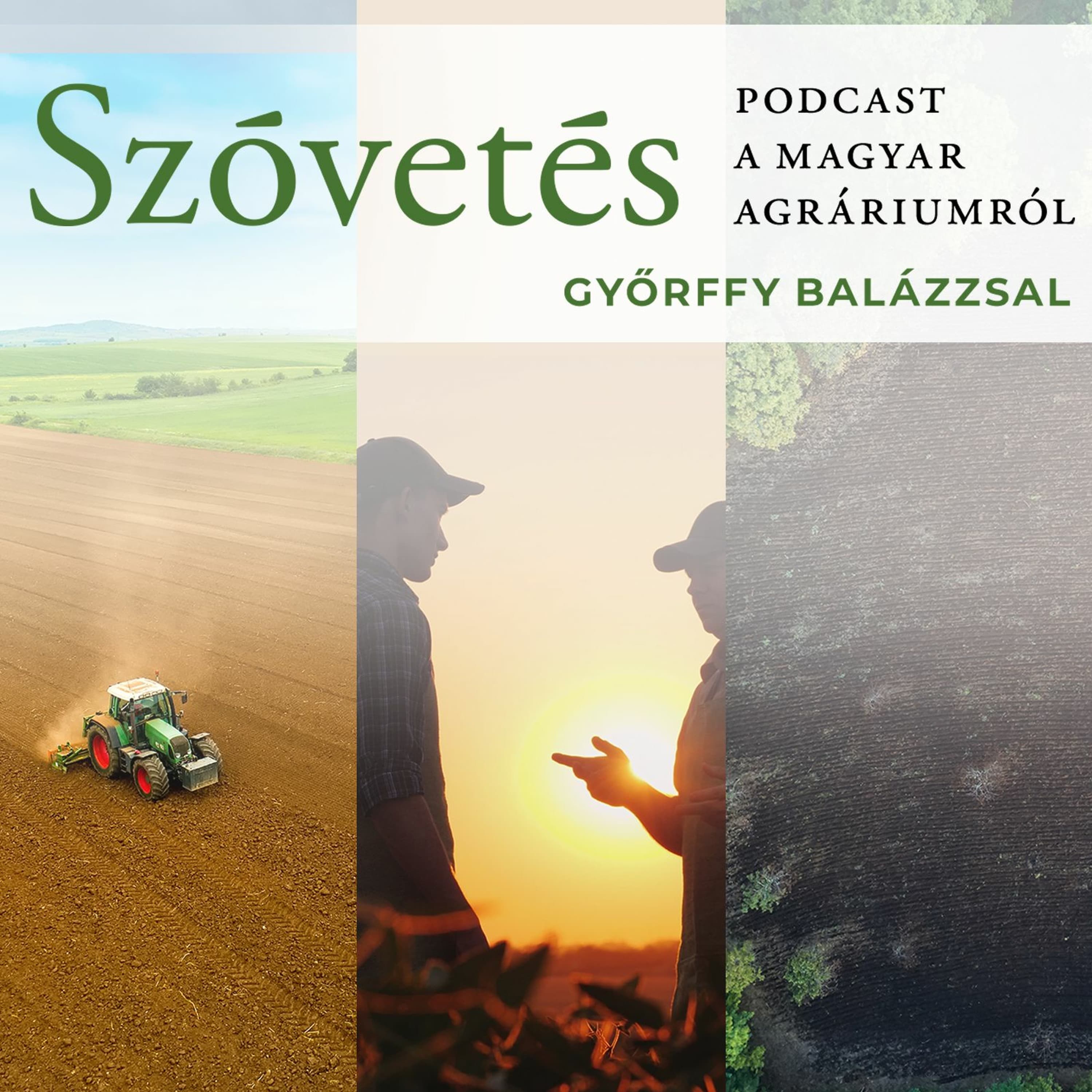 Szabó Kristóffal az exportlehetőségekről - Szóvetés podcast 2. évad 18. epizód
