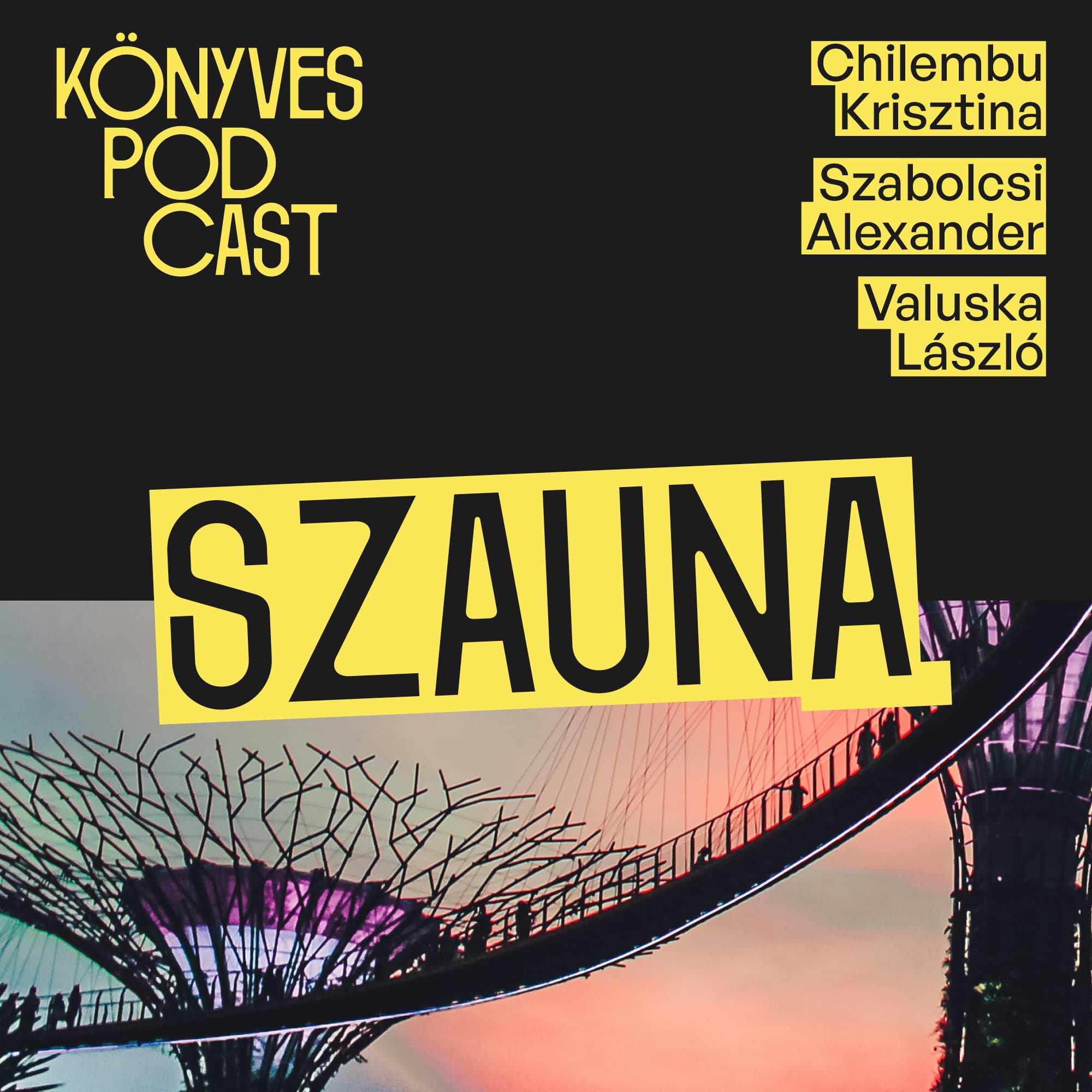 Algoritmusok fogságában: mi lesz a könyvekkel a mesterséges intelligencia korában? / Szauna podcast
